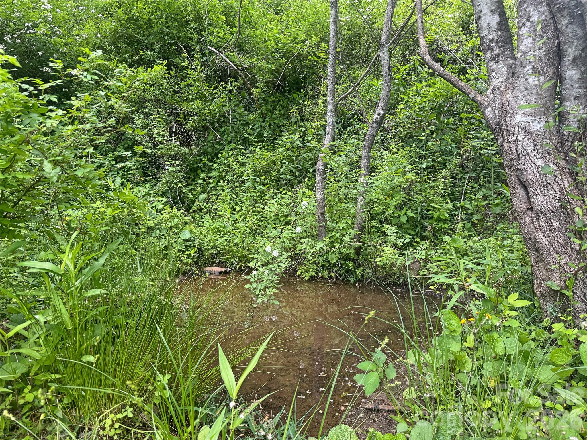 Acreage at V/L Wolf Crossing, Bakersville, photo 6 of 16