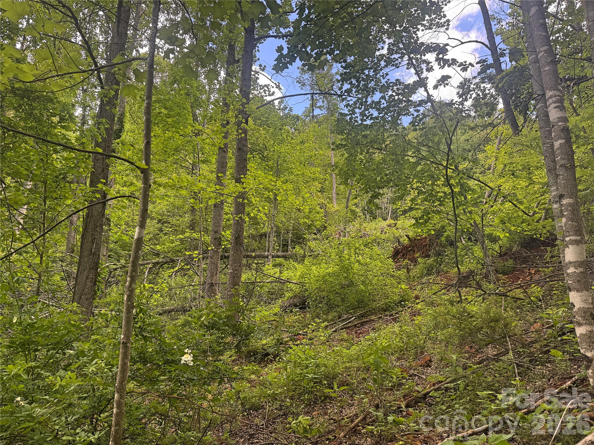 Acreage at V/L Wolf Crossing, Bakersville, photo 8 of 16