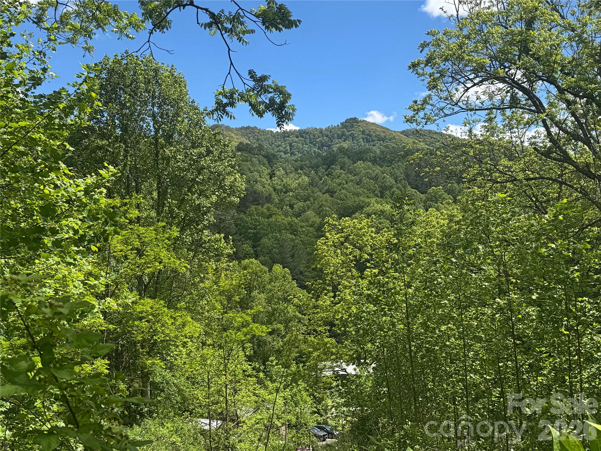 Acreage at V/L Wolf Crossing, Bakersville, photo 9 of 16