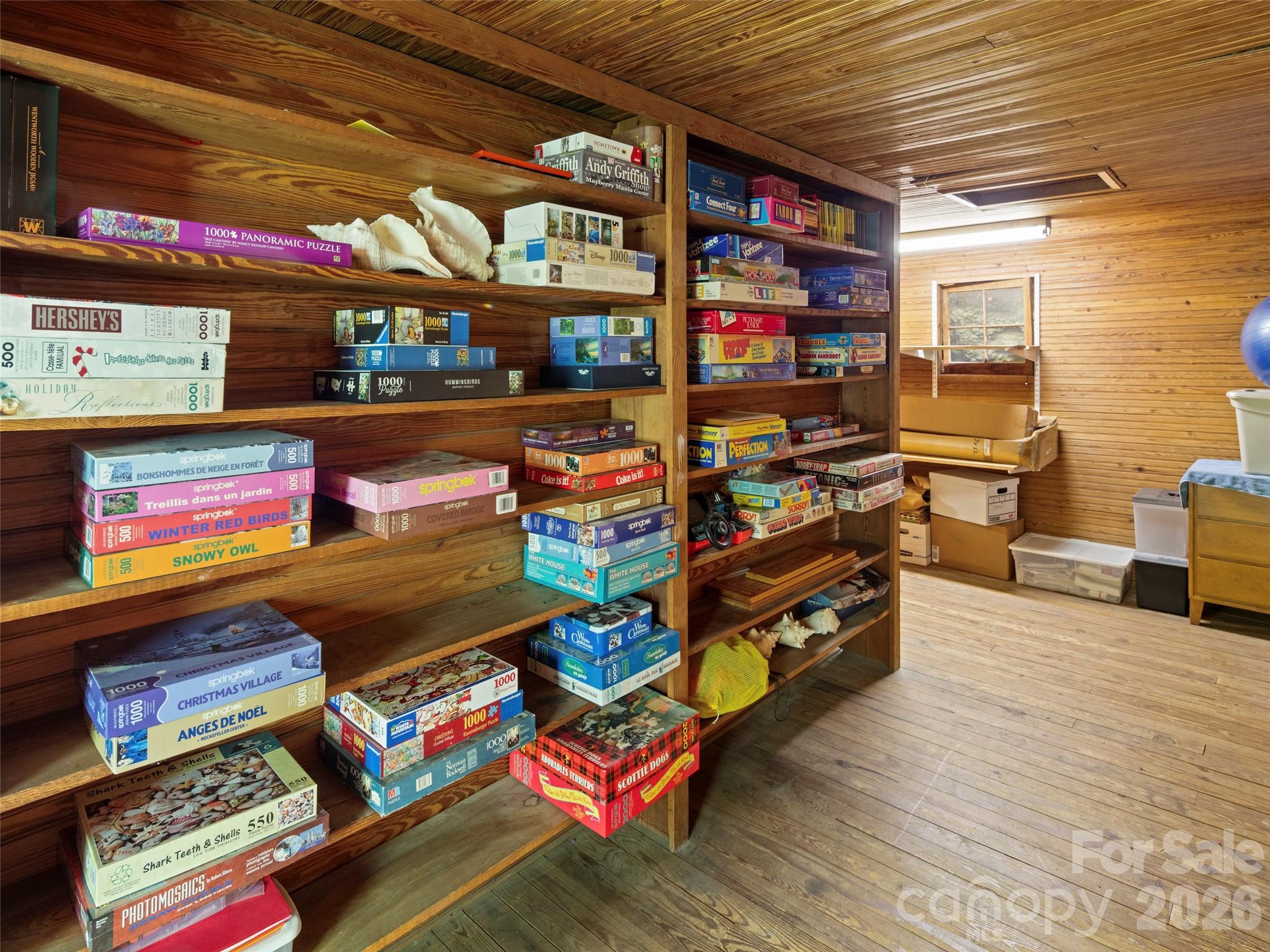Cozy attic with ample storage space - 19 Blackwood Road, Asheville