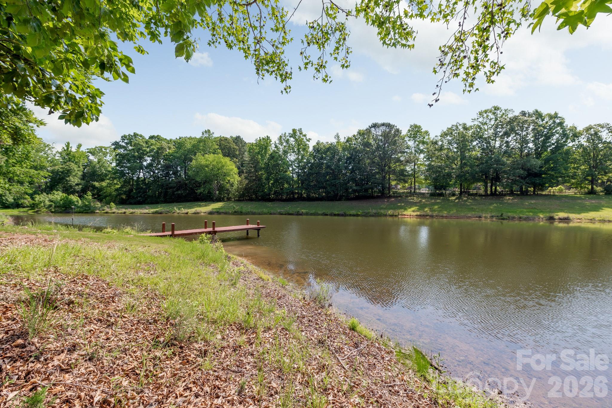 Your private pond. - 4709 Rockwood Drive, Waxhaw