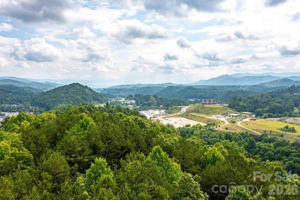 Acreage at 2201&2073 Andrews Road, Murphy, photo 2 of 12