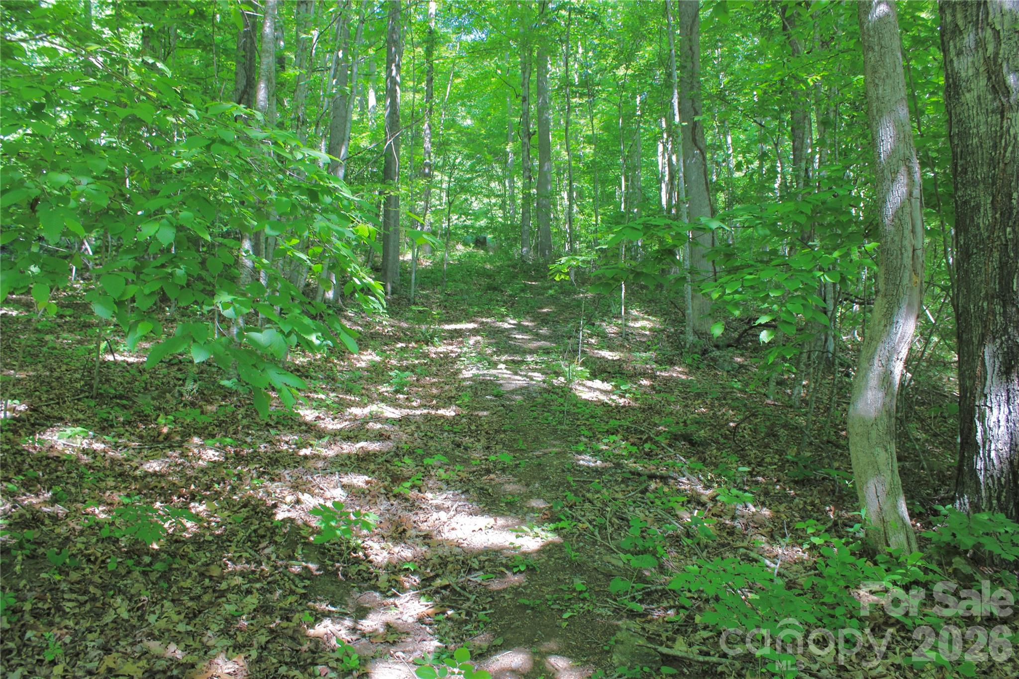 Acreage at 00 Wildwood Drive, Burnsville, photo 2 of 14
