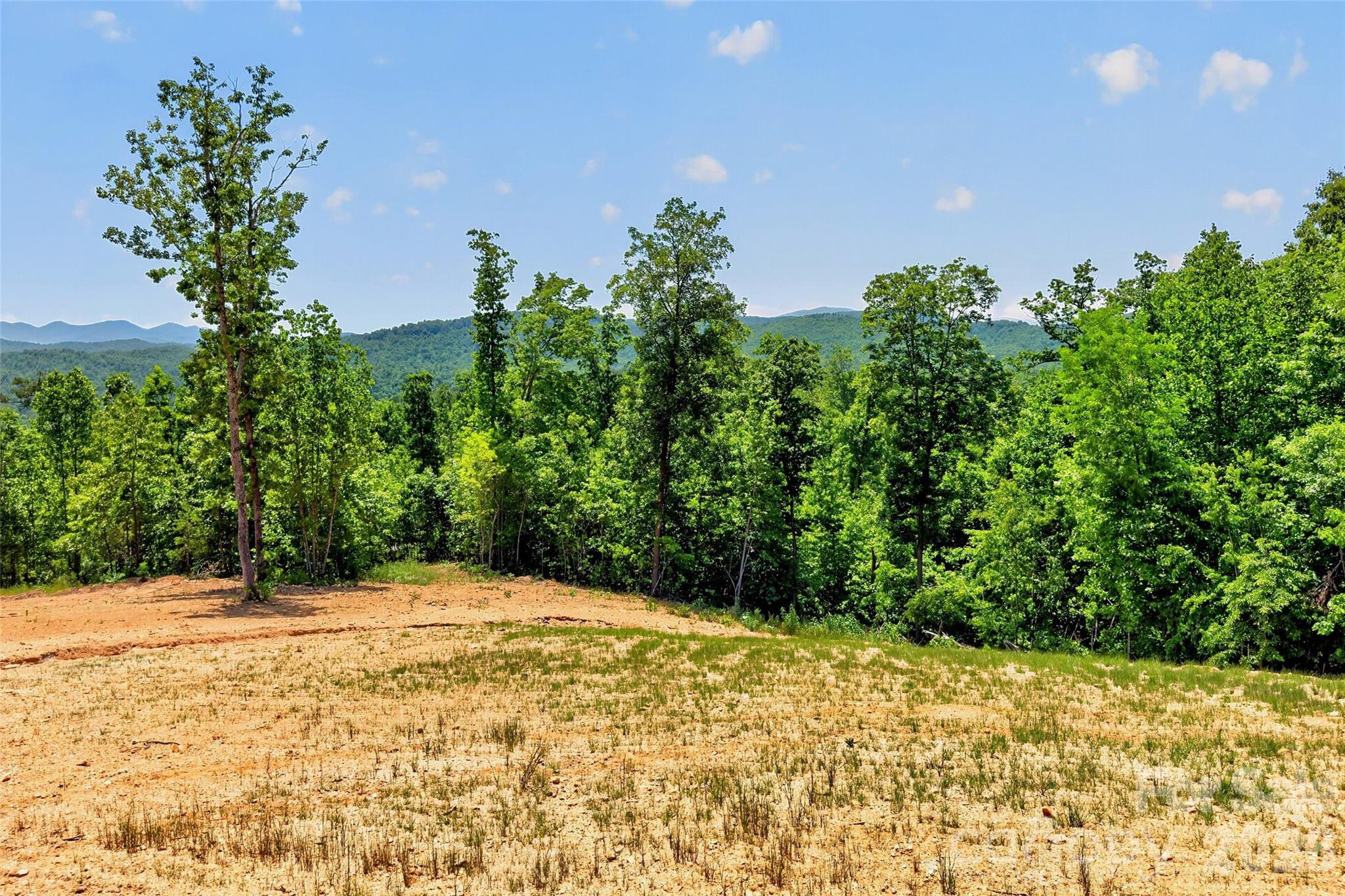 Acreage at 272 Randolph Drive, Marion, photo 19 of 29