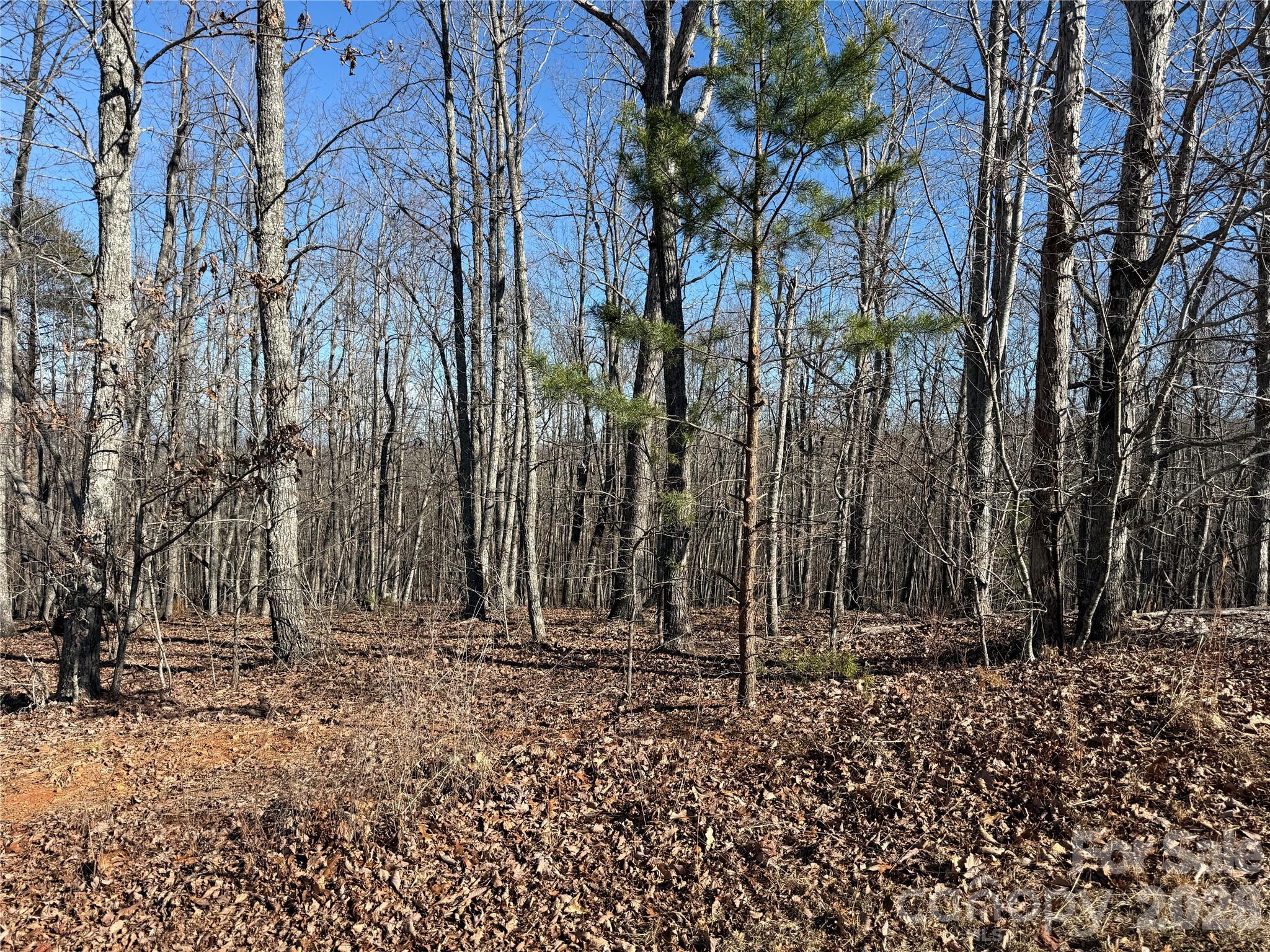Lot at 108 Woodgate Trail, Nebo, photo 2 of 23