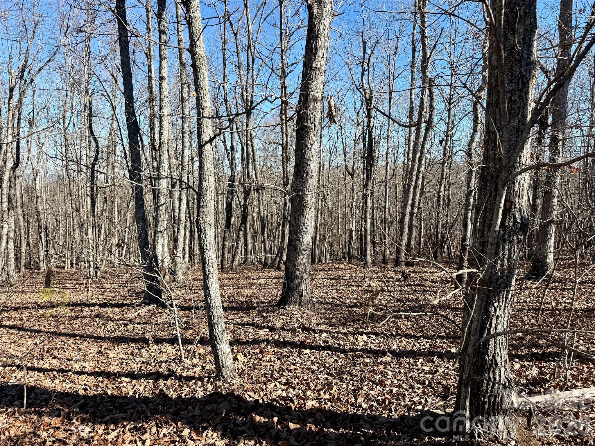 Lot at 108 Woodgate Trail, Nebo, photo 3 of 23