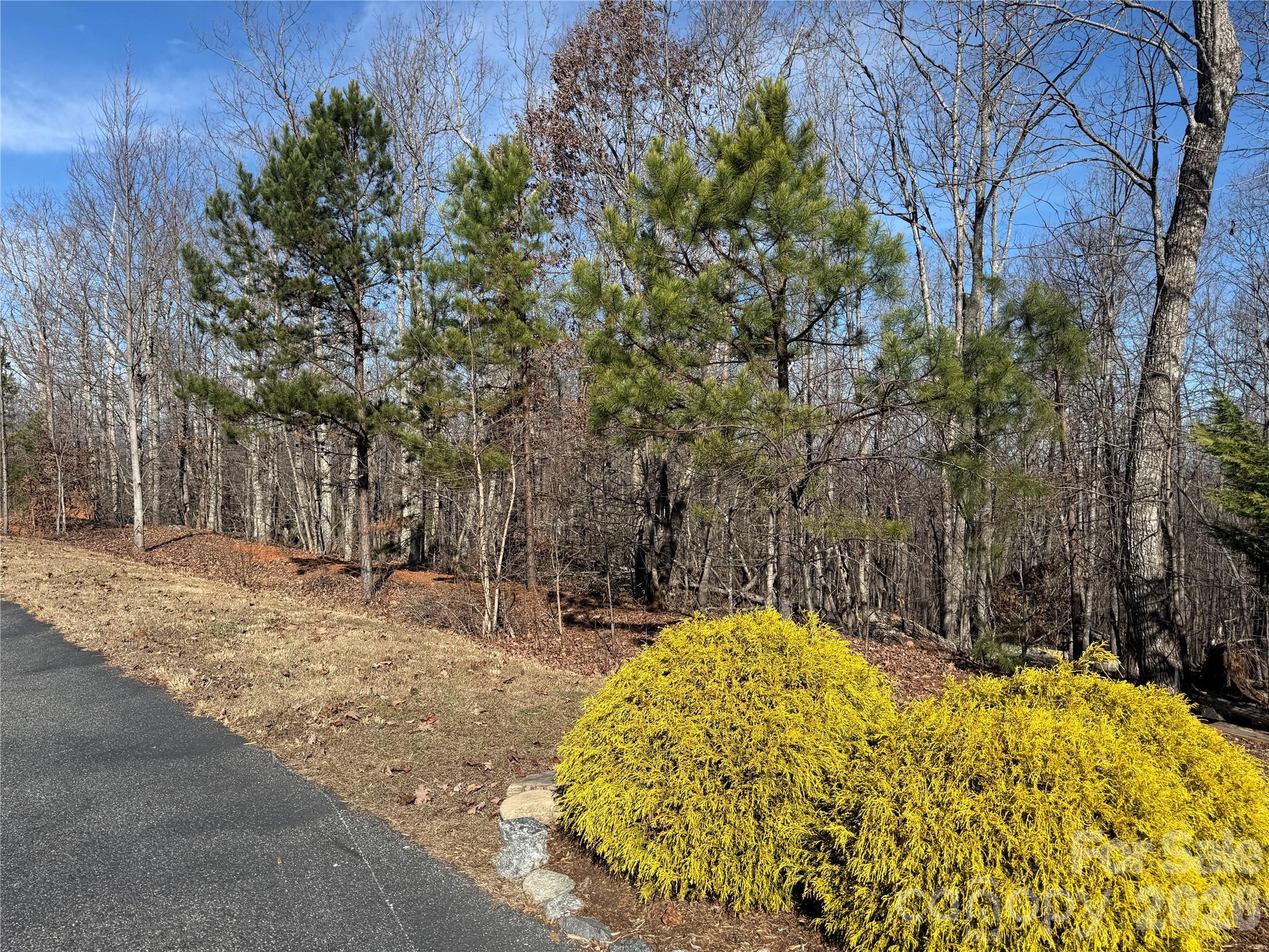 Lot at 108 Woodgate Trail, Nebo, photo 10 of 23