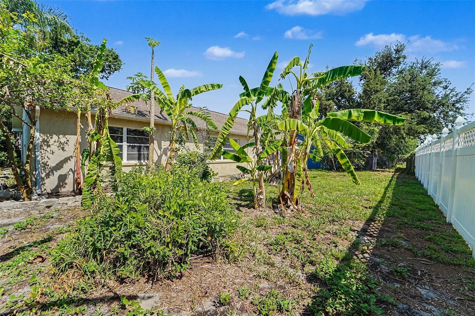 Single Family Residence at 7336 ASHMORE DR, NEW PORT RICHEY, photo 24 of 25