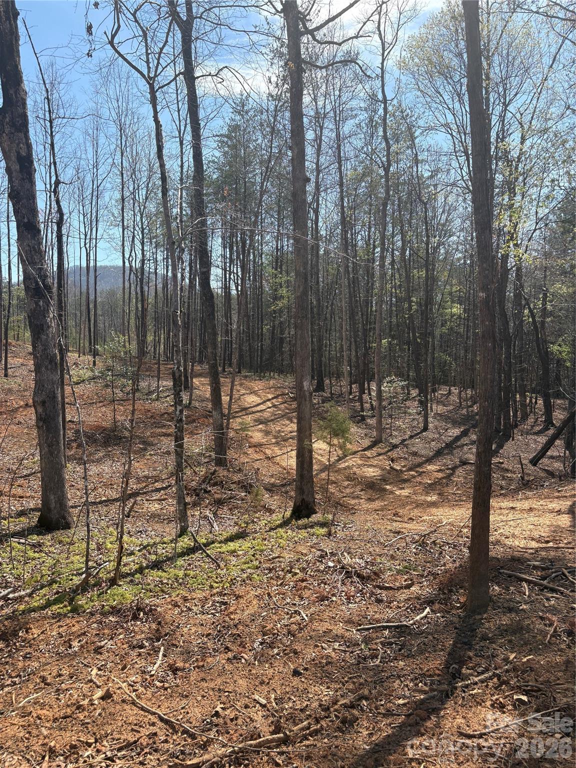 Lot at 5317 Avenida De Oro Road, Morganton, photo 2 of 3