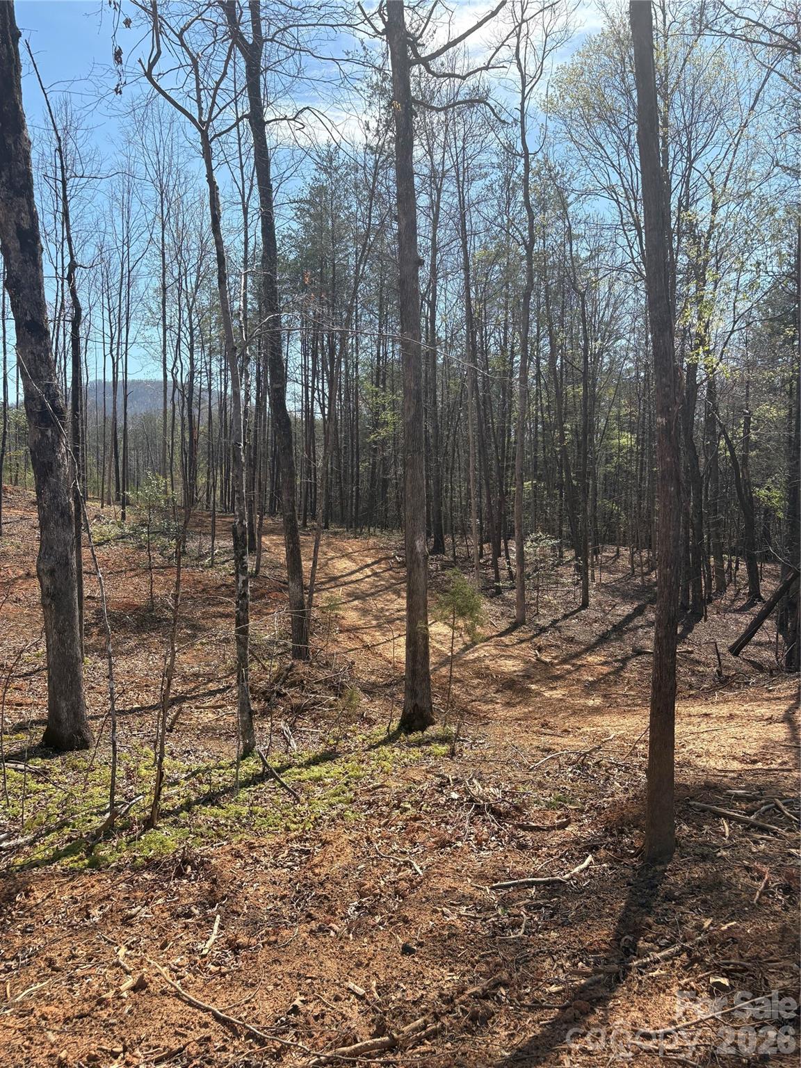 Lot at 5317 Avenida De Oro Road, Morganton, photo 3 of 3