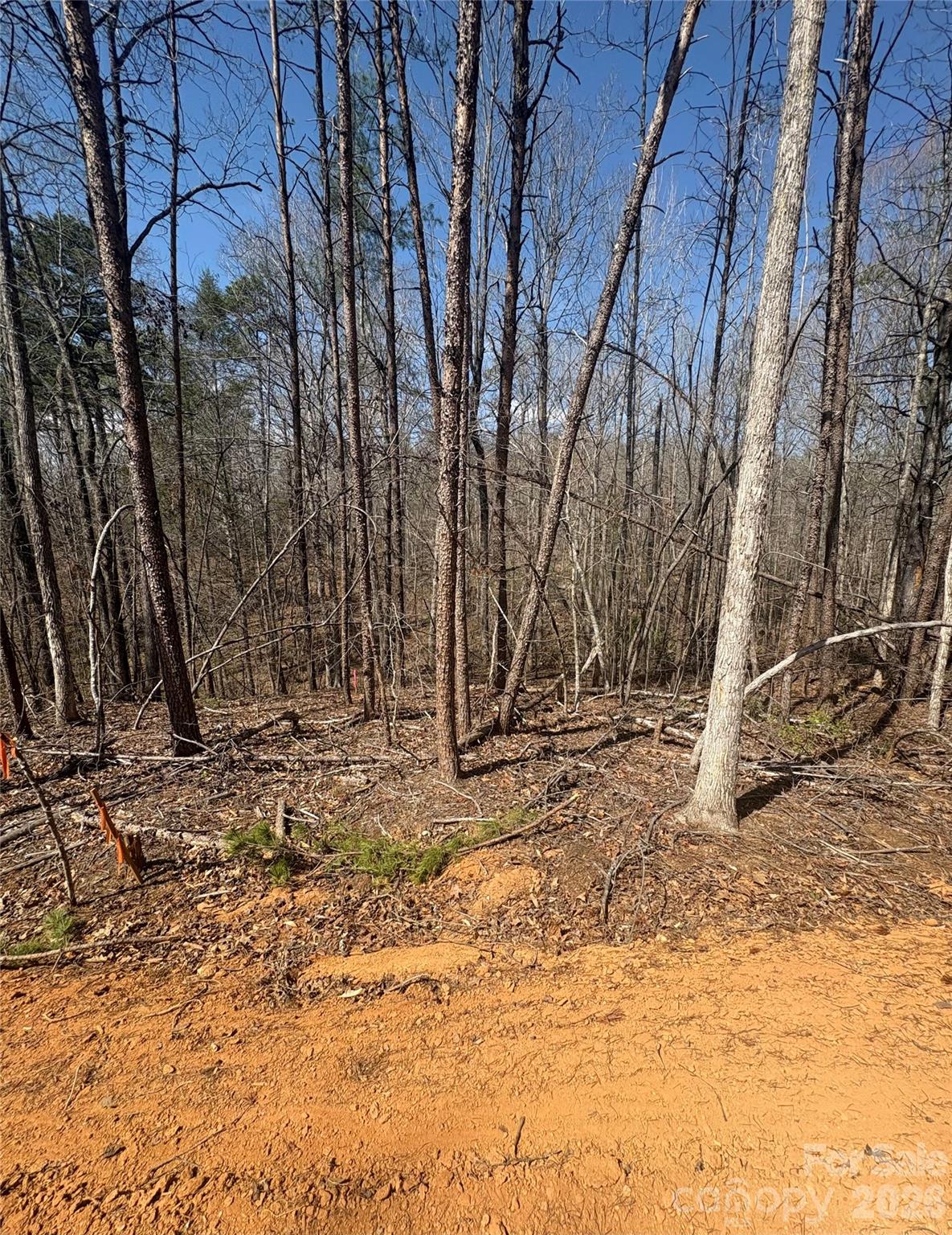 Lot at 5310 Avenida De Oro Road, Morganton, photo 4 of 4