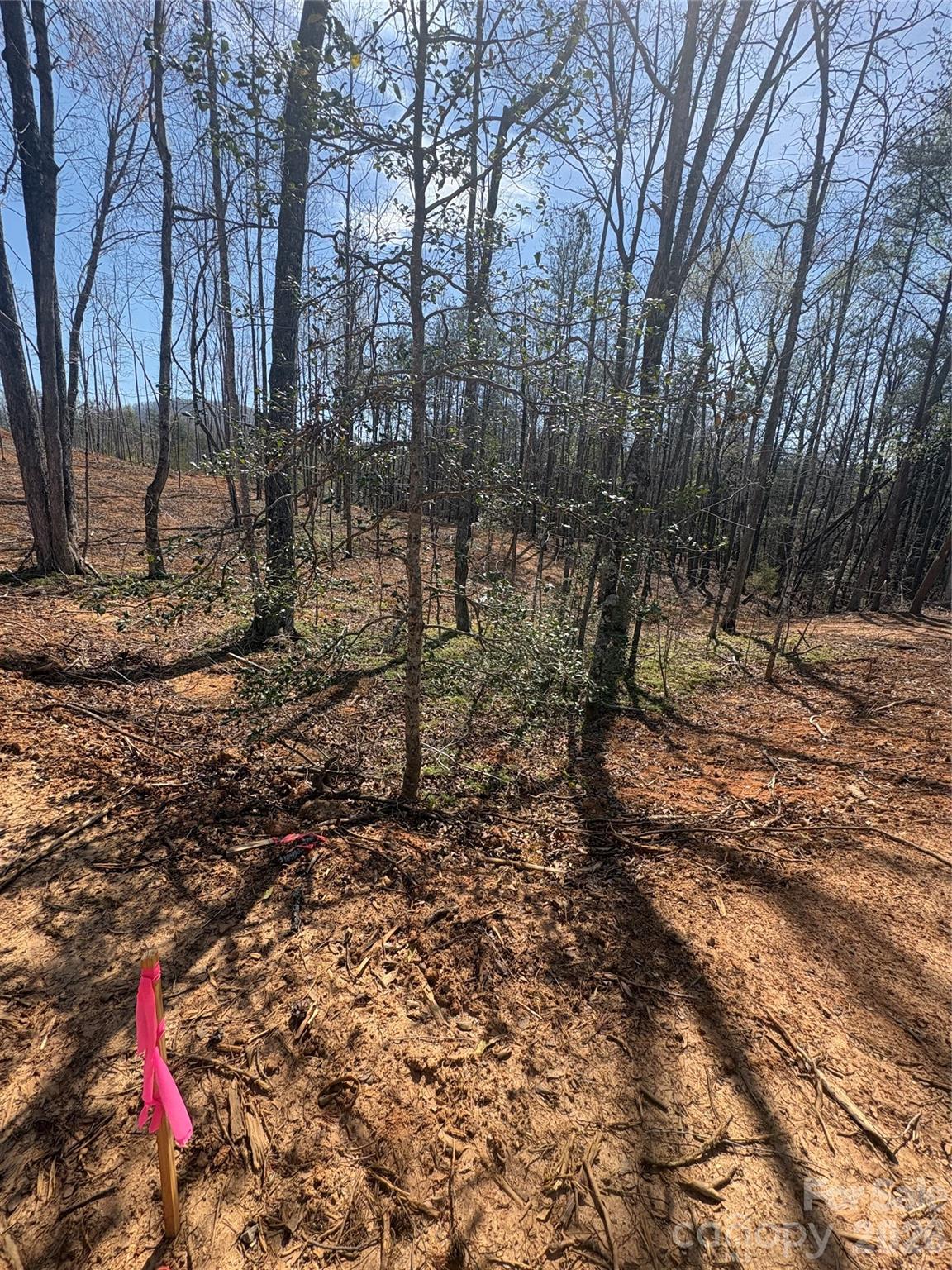 Lot at 5311 Avenida De Oro Road, Morganton, photo 2 of 2