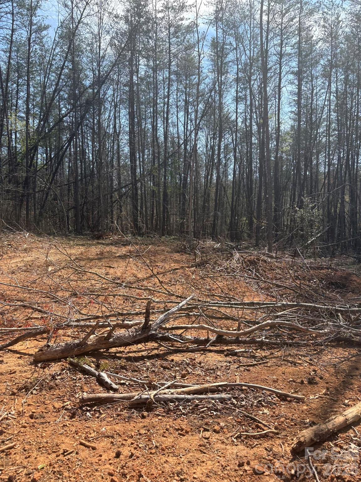 Lot at 5318 Avenida De Oro Road, Morganton, photo 3 of 4