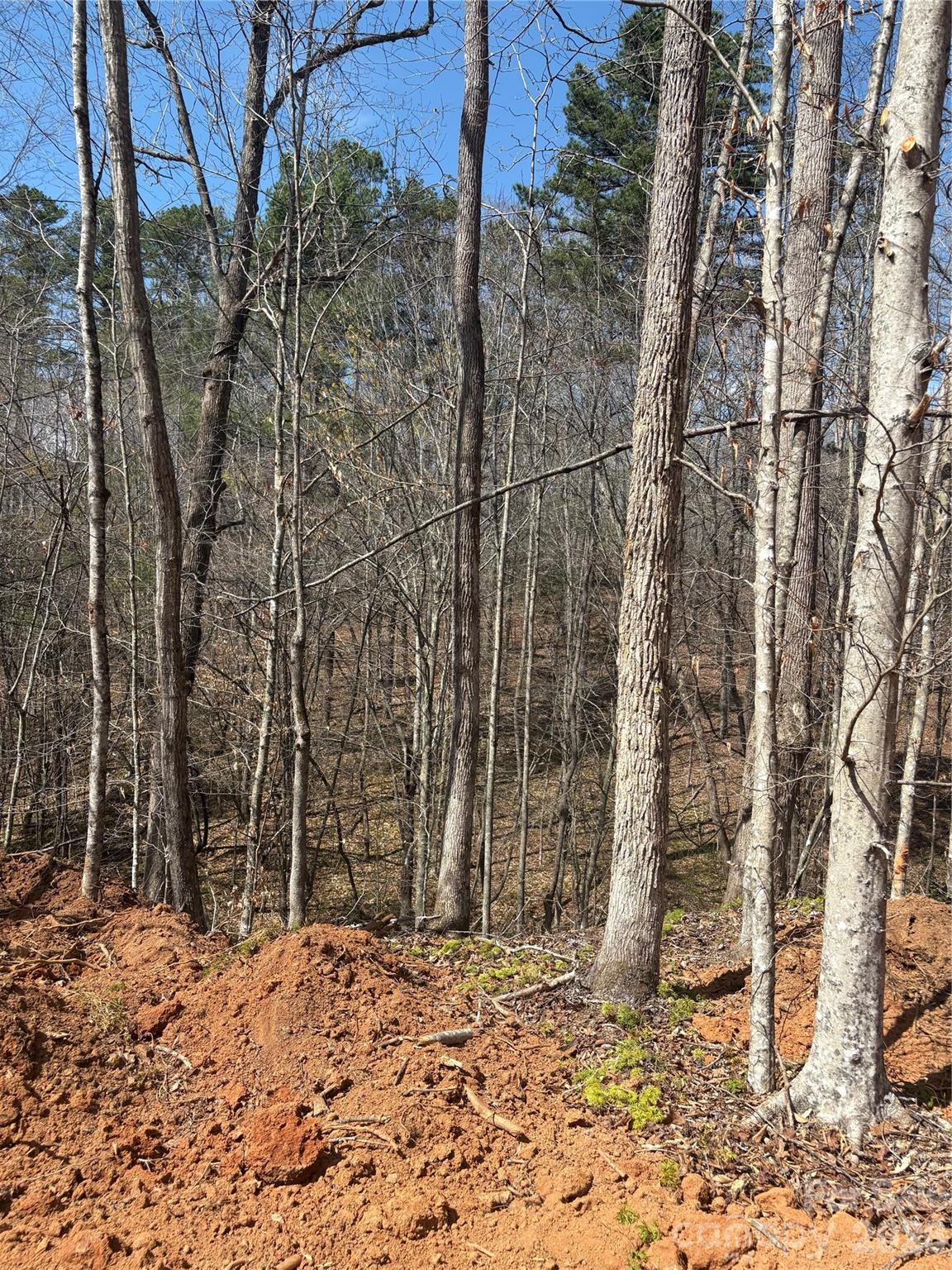 Lot at 5318 Avenida De Oro Road, Morganton, photo 4 of 4