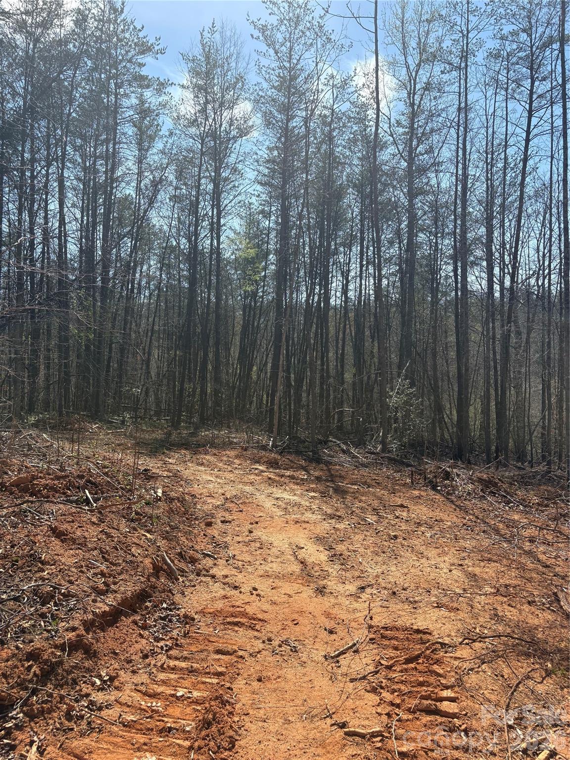 Lot at 5321 Avenida De Oro Road, Morganton, photo 2 of 2