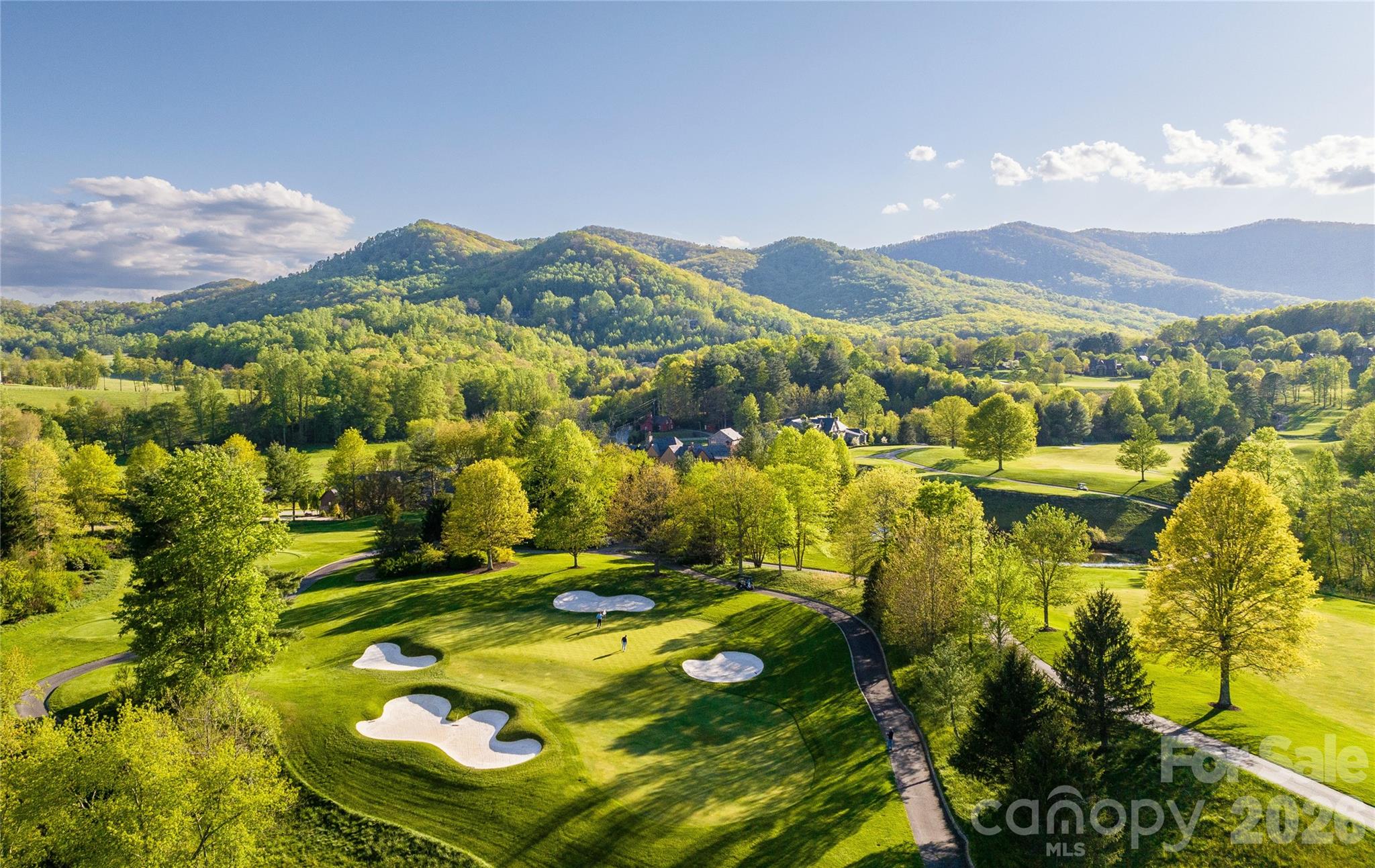 Walnut Cove Golf Course - 3 Whispering Bells Court, Arden