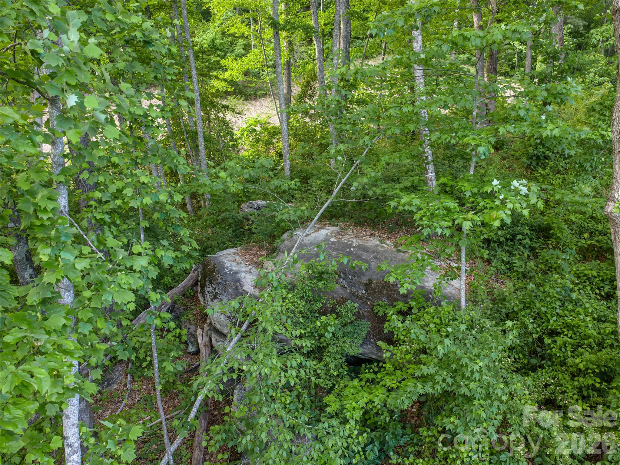 Lot at 000 New Sprout Lane, Hendersonville, photo 13 of 35