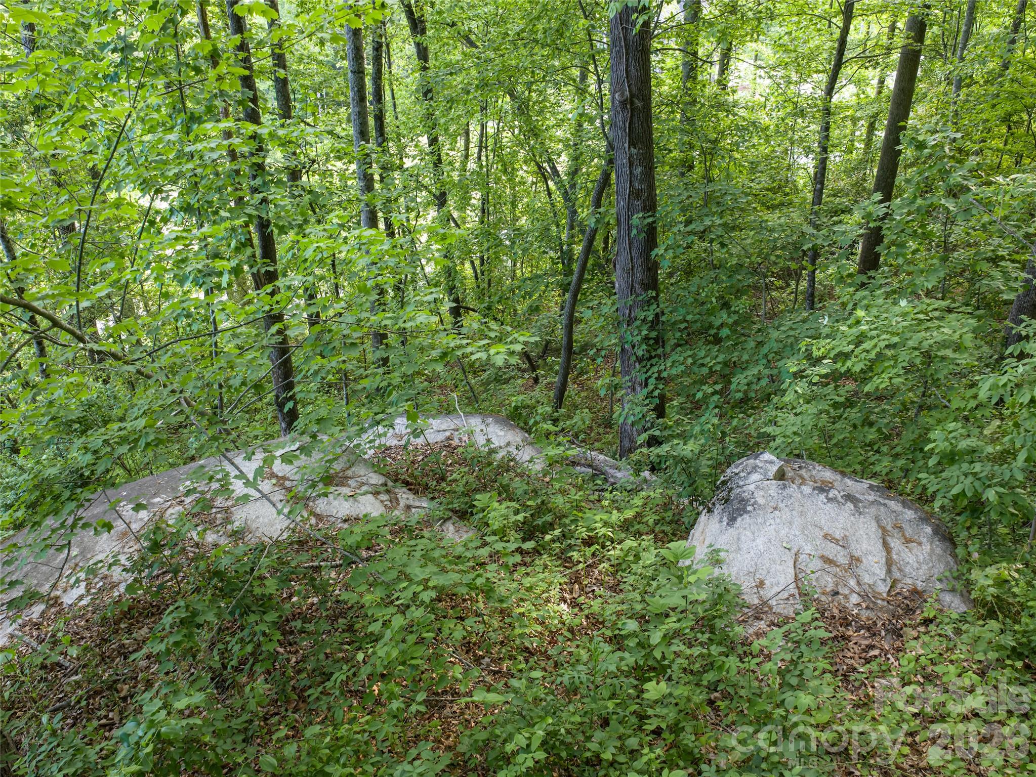 Lot at 000 New Sprout Lane, Hendersonville, photo 15 of 35