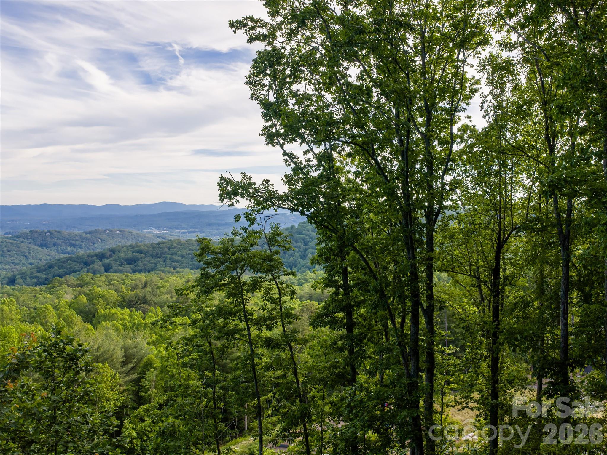 Lot at 000 New Sprout Lane, Hendersonville, photo 19 of 35