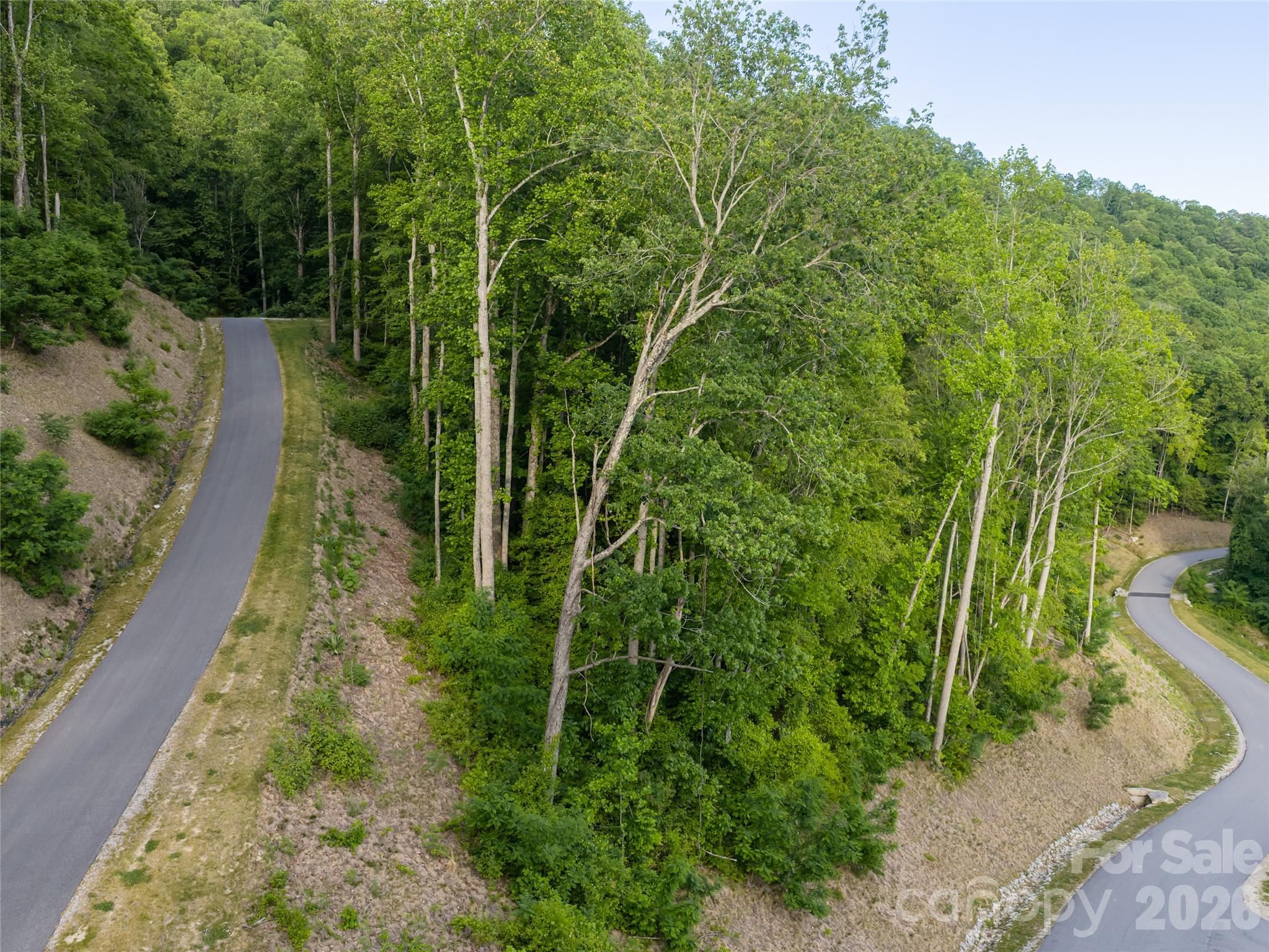Lot at 000 New Sprout Lane, Hendersonville, photo 23 of 35