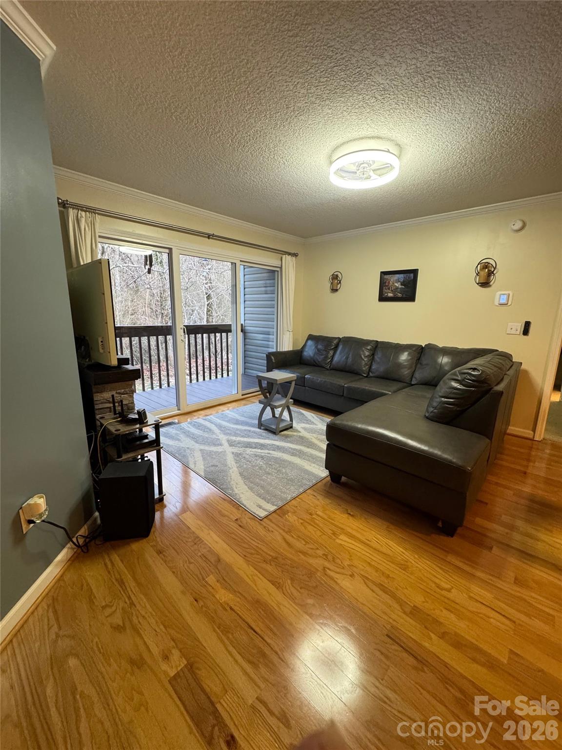 Condominium at 203 Waters Edge Drive, Weaverville, photo 4 of 19