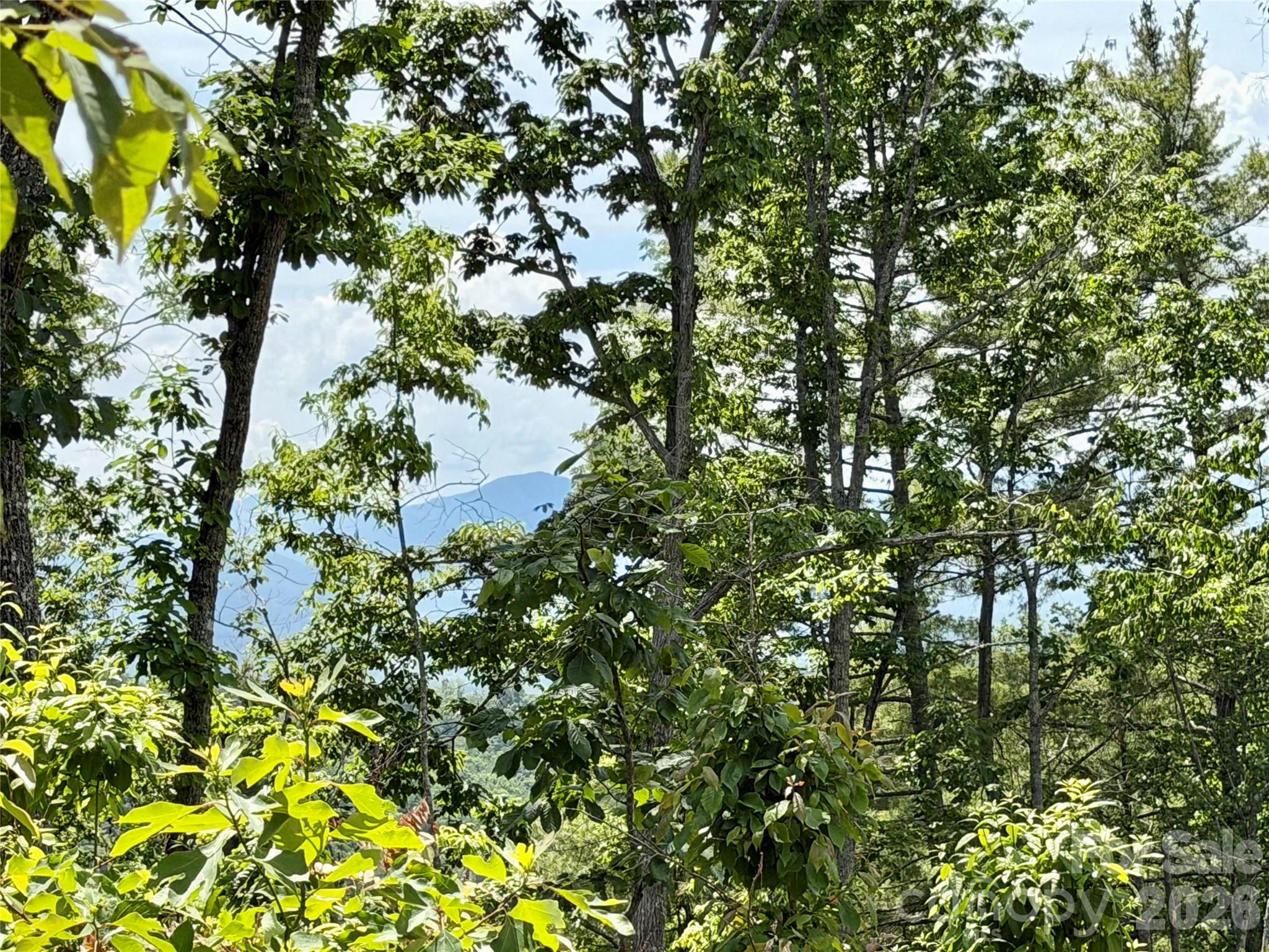 Acreage at 19 Villa Nova Drive, Asheville, photo 2 of 20