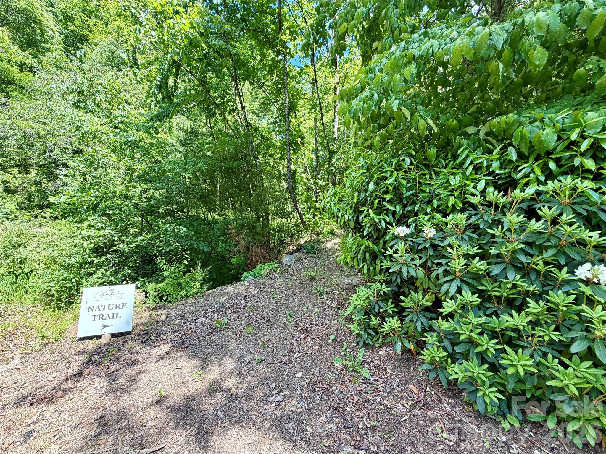 Acreage at 19 Villa Nova Drive, Asheville, photo 12 of 20