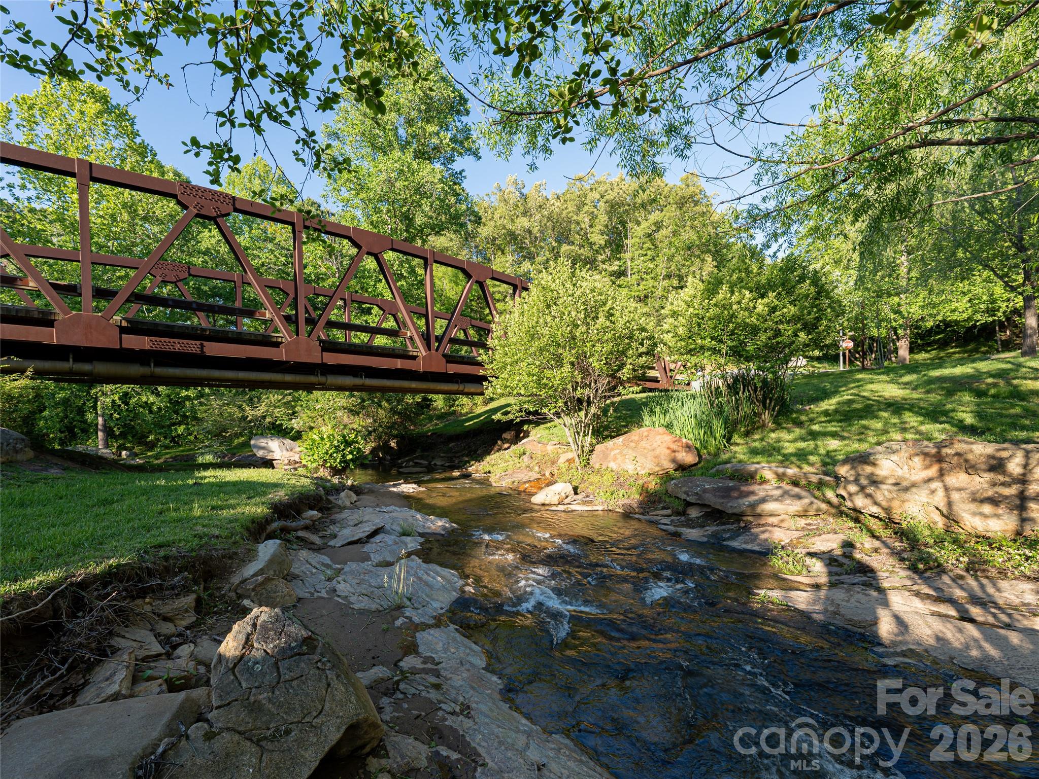 Community View - 124 Lilikoi Lane, Asheville