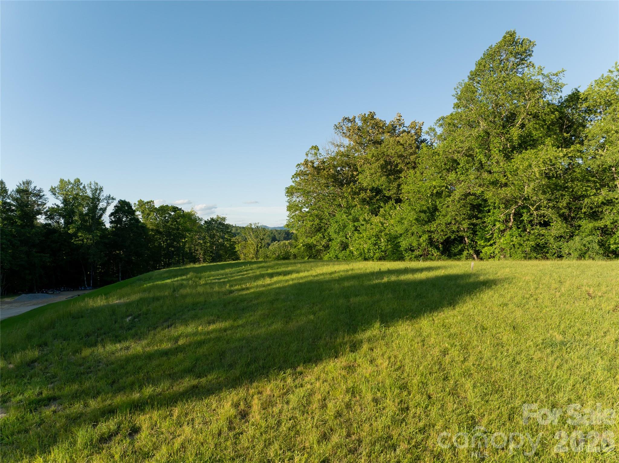 Lot at 124 Lilikoi Lane, Asheville, photo 6 of 44