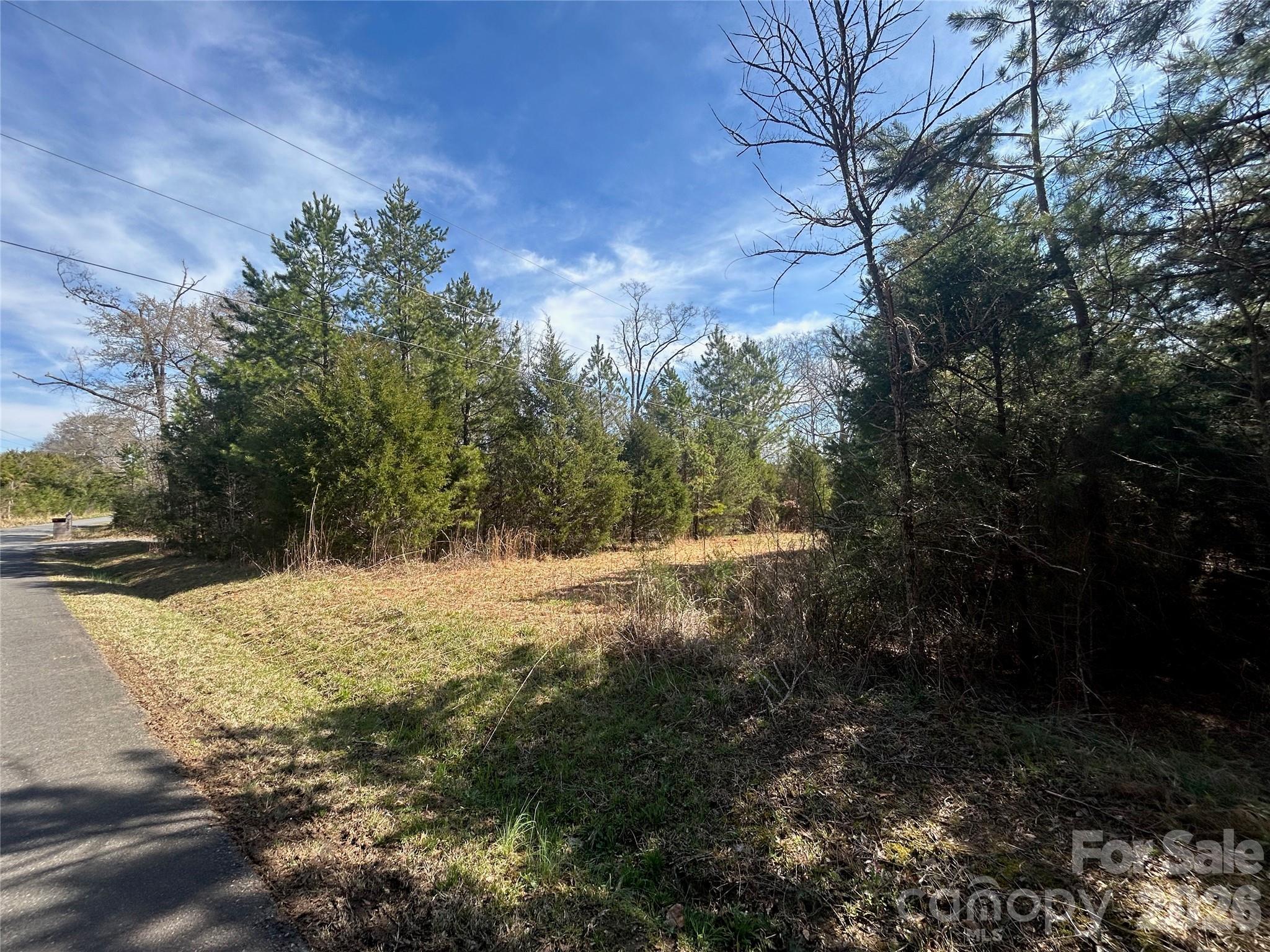 Acreage at TBD Green Pond Road, Indian Land, photo 4 of 24