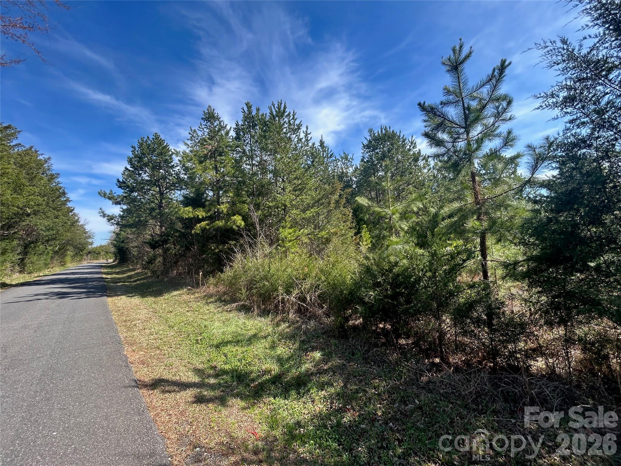 Acreage at TBD Green Pond Road, Indian Land, photo 5 of 24
