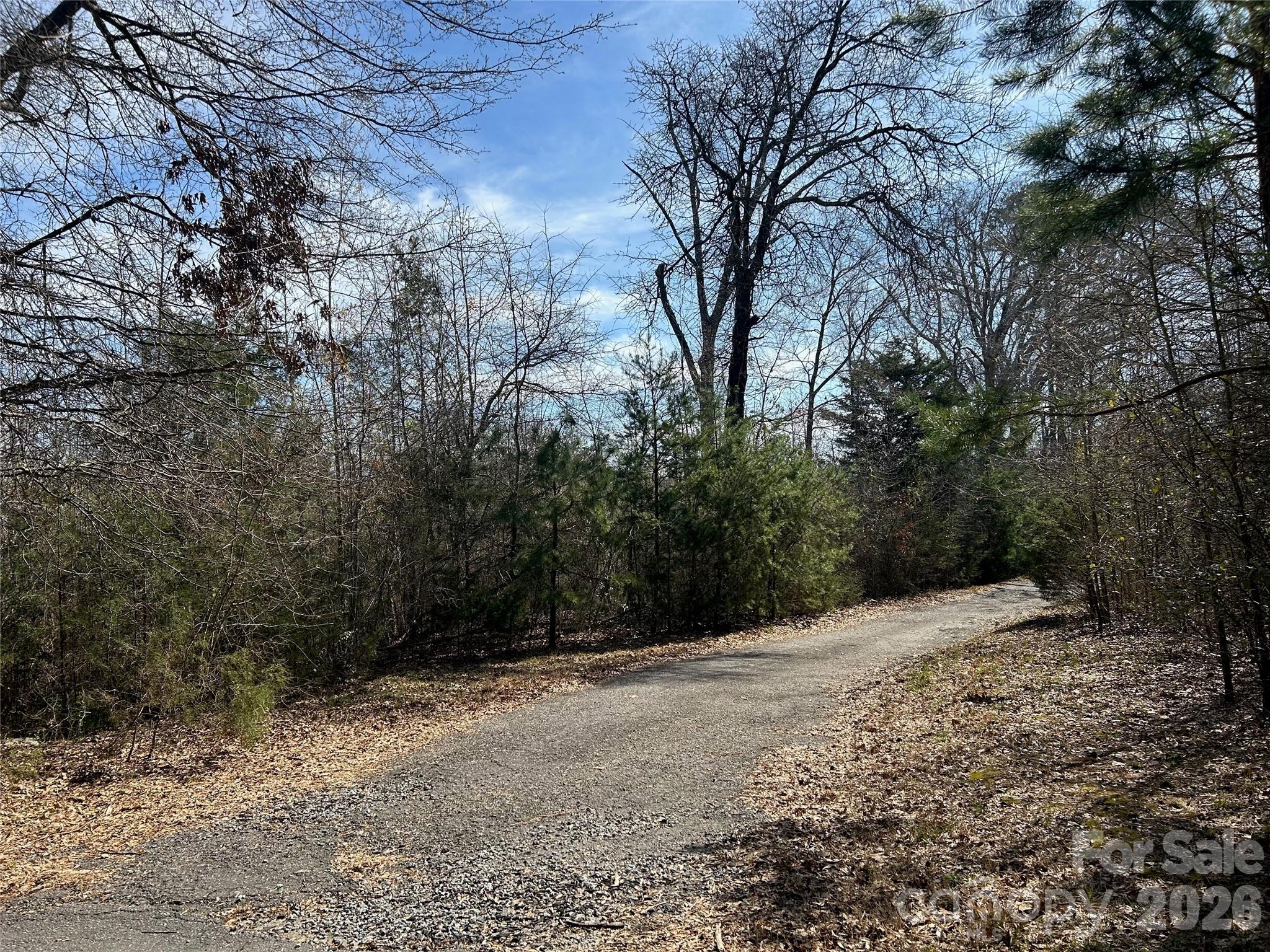 Easement to house located in the middle of parcel - not part of this sale - TBD Green Pond Road, Indian Land