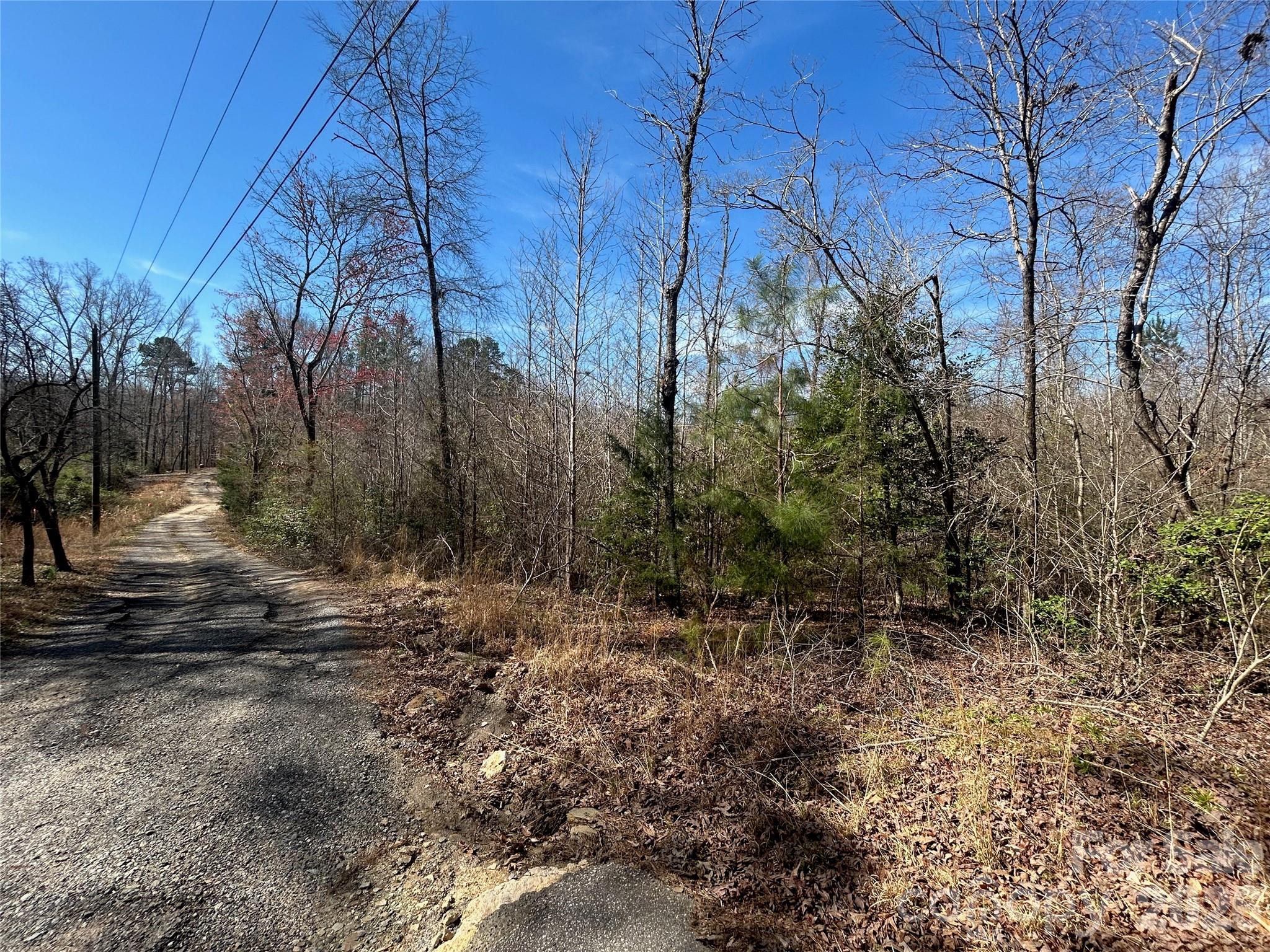 Pavement ends, gravel road on John Short - TBD Green Pond Road, Indian Land