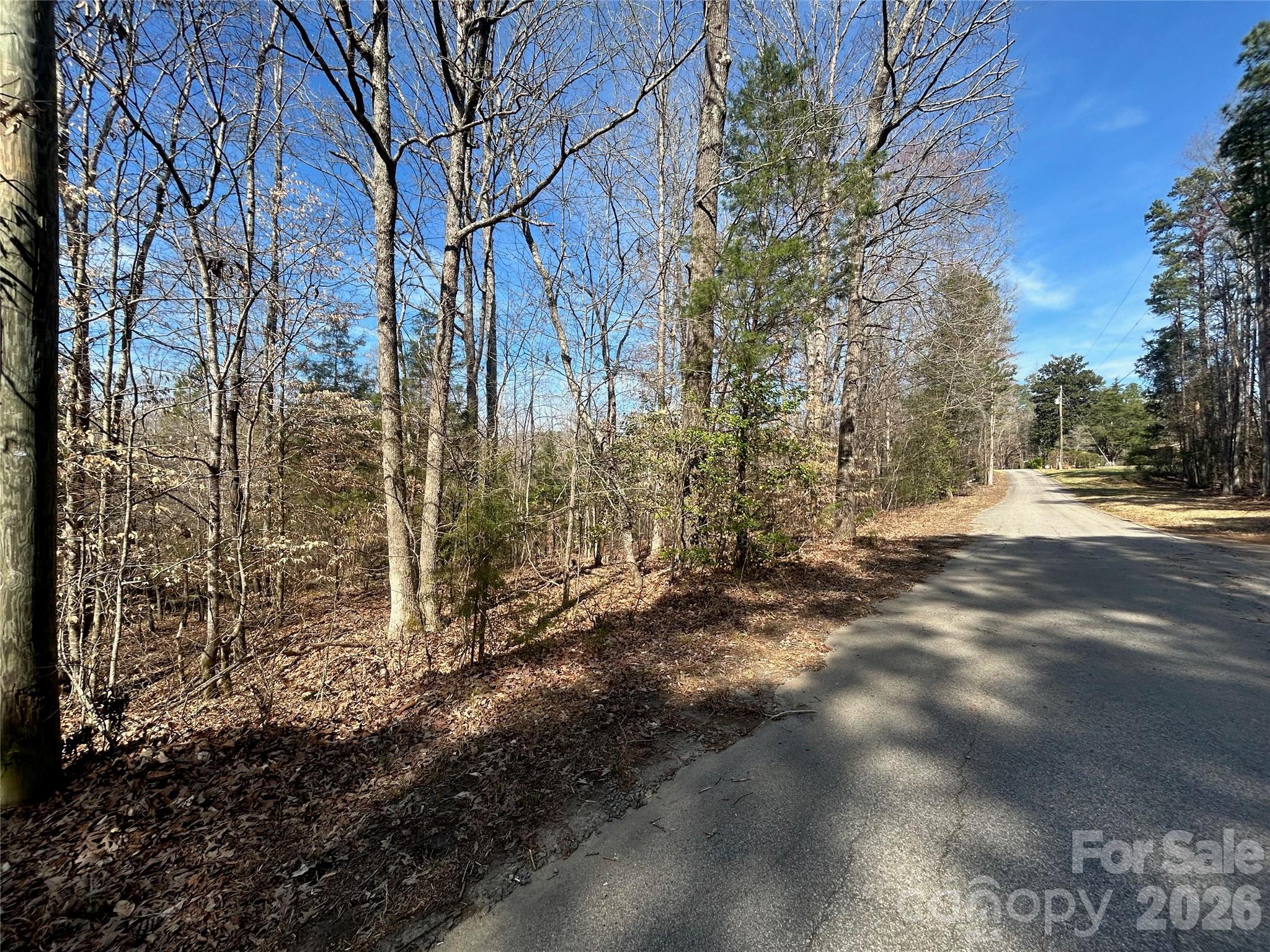 Acreage at TBD Green Pond Road, Indian Land, photo 19 of 24