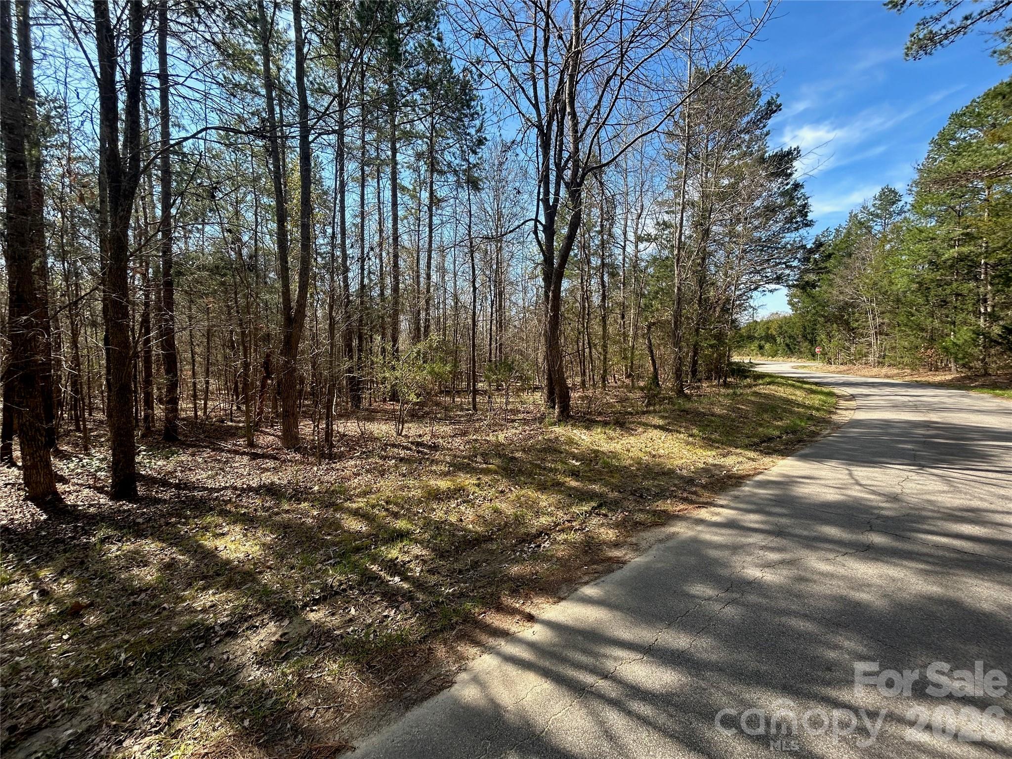 Acreage at TBD Green Pond Road, Indian Land, photo 22 of 24