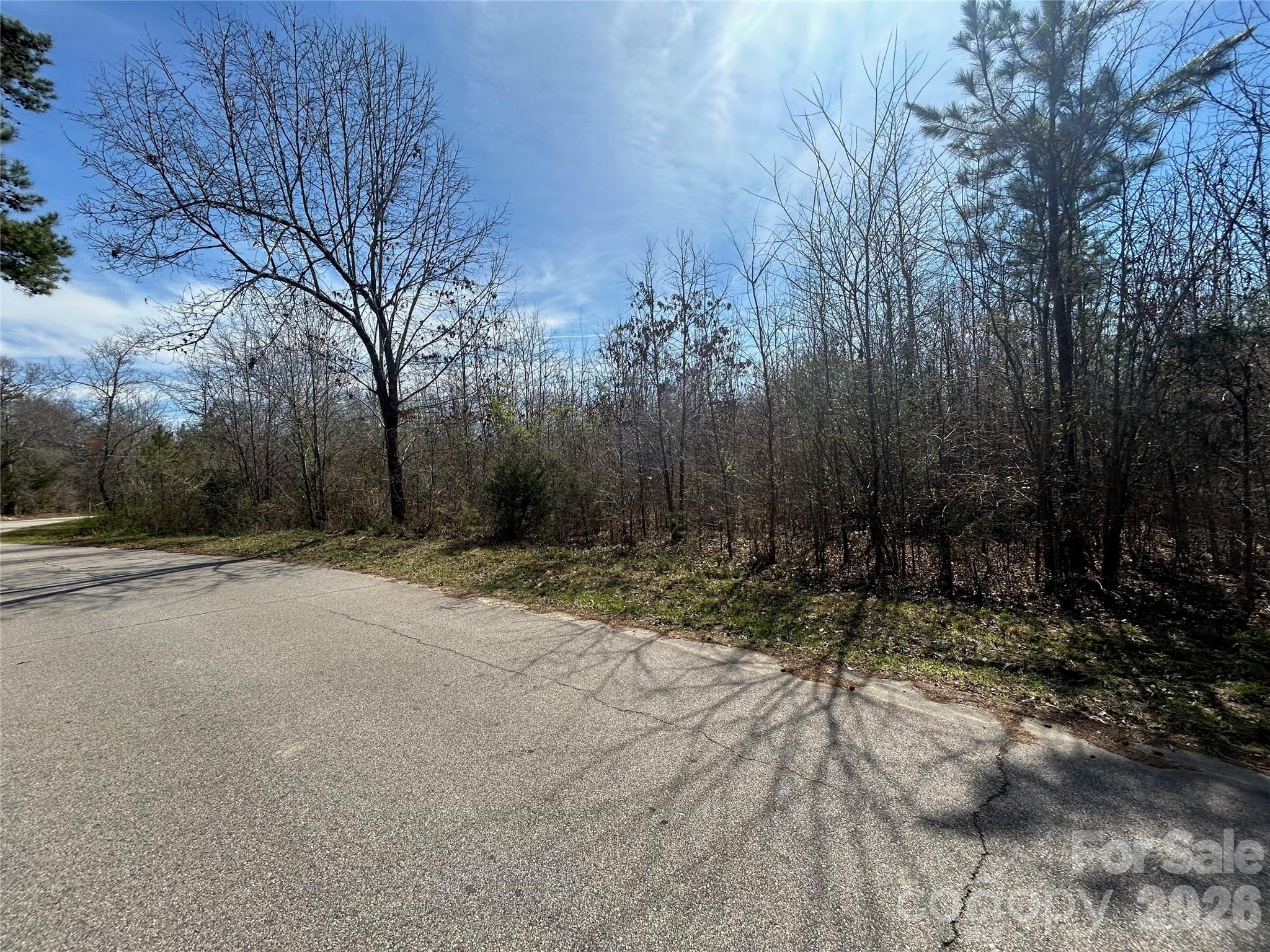 Acreage at TBD Green Pond Road, Indian Land, photo 23 of 24