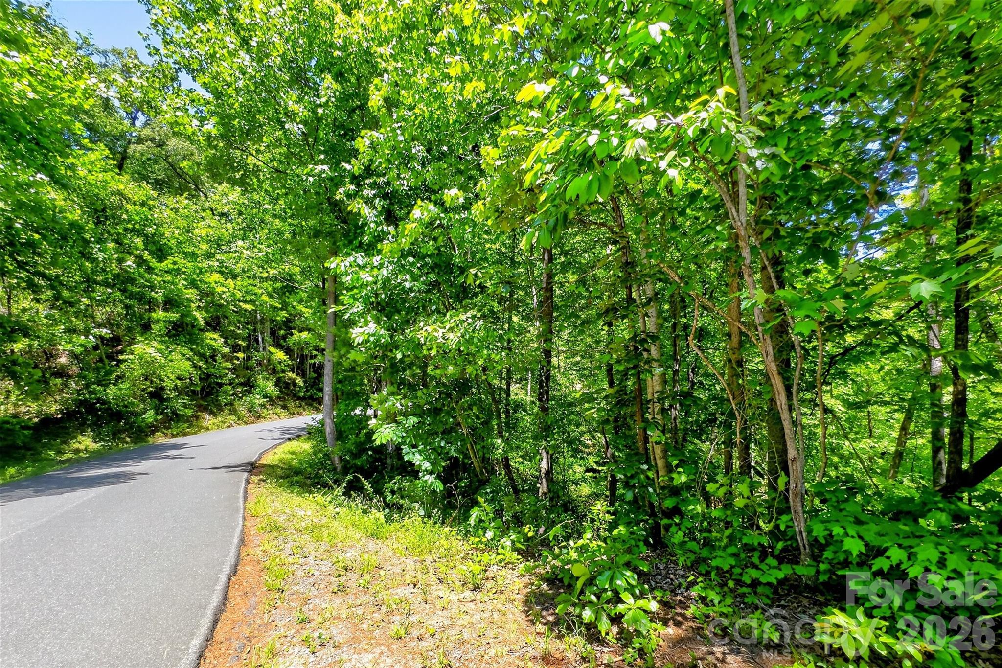 Acreage at 999 Justice Drive, Lake Lure, photo 4 of 34