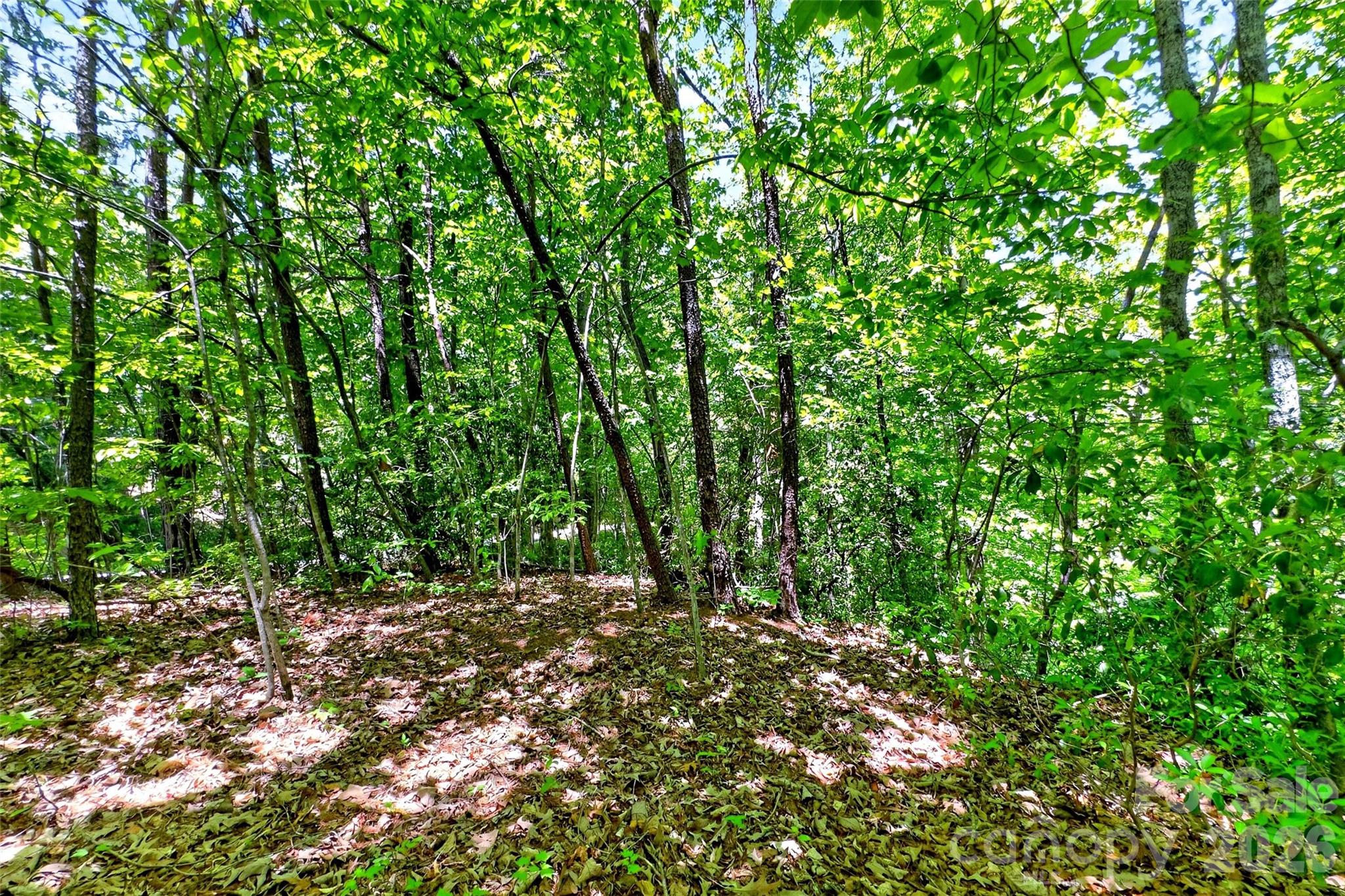 Acreage at 999 Justice Drive, Lake Lure, photo 2 of 34