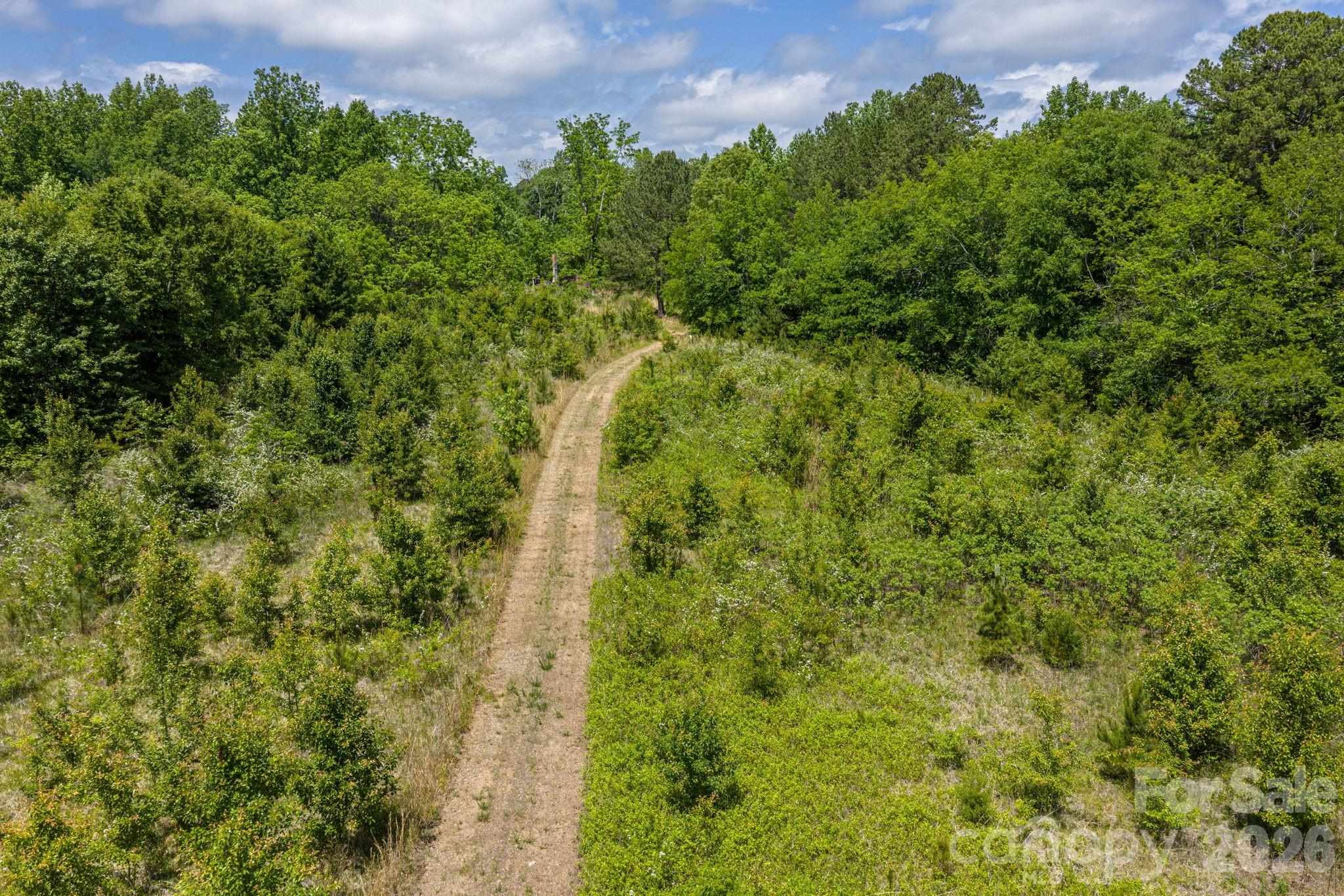 Acreage at 7867 Max Smith Avenue, Connelly Springs, photo 3 of 22