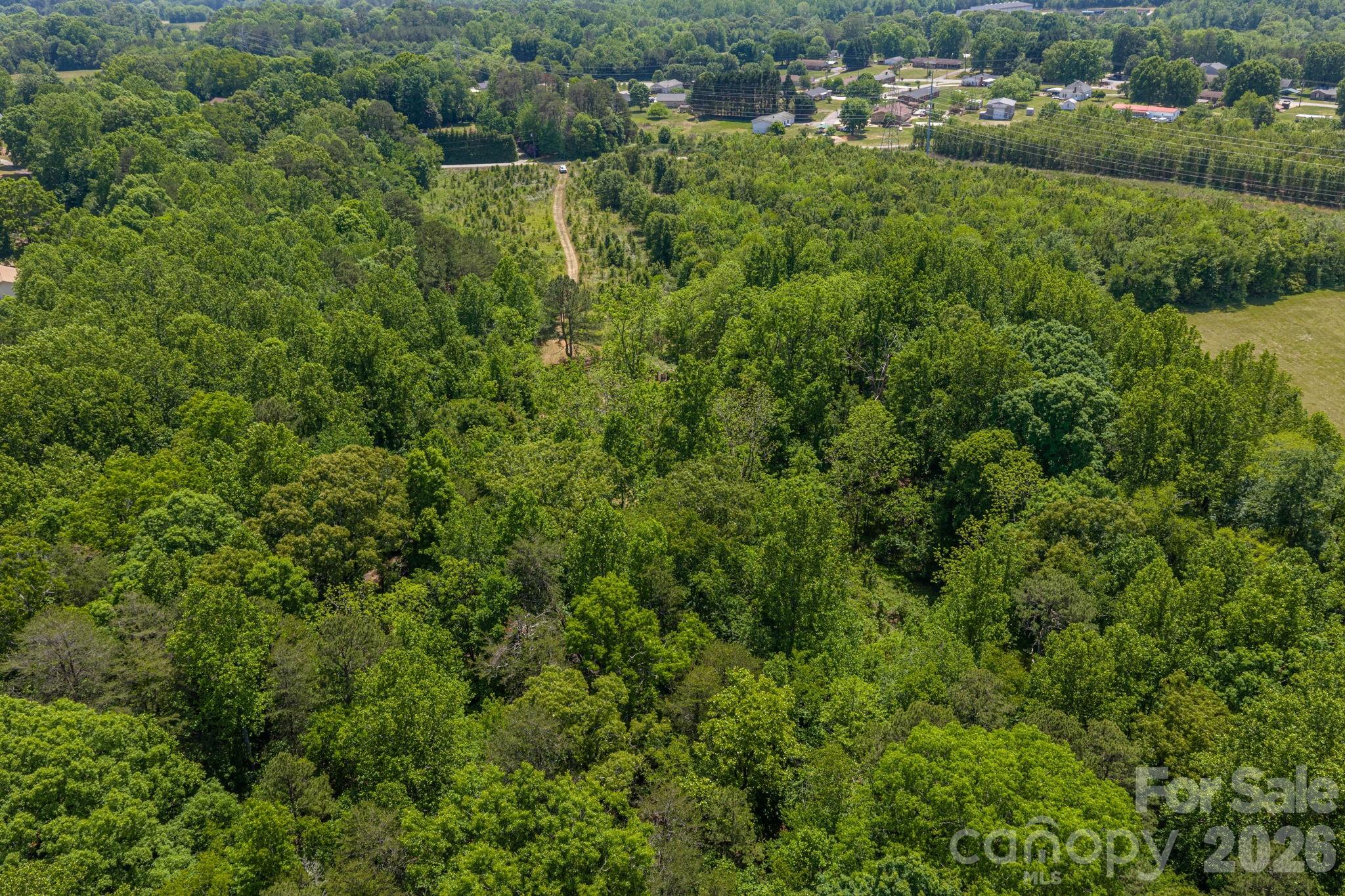 Acreage at 7867 Max Smith Avenue, Connelly Springs, photo 13 of 22