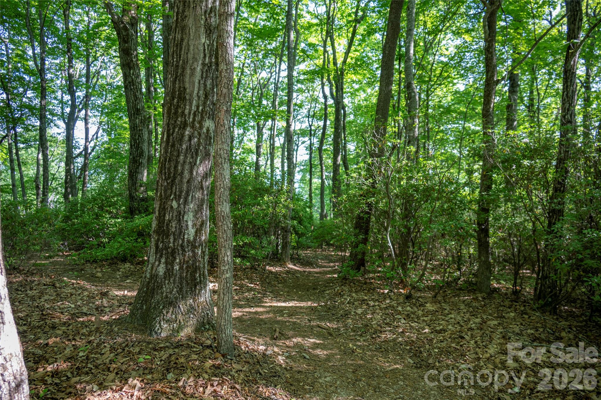Lot at TM I 33 Toxaway Drive, Lake Toxaway