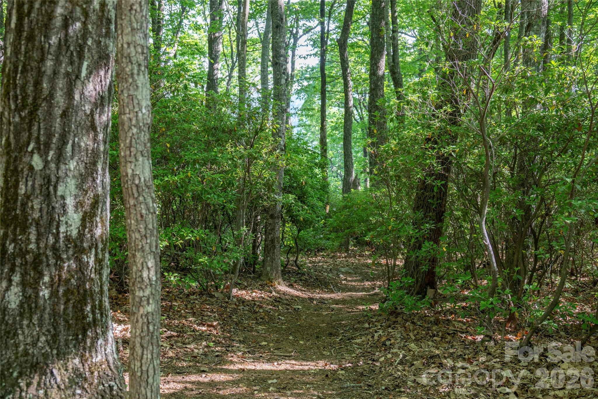 Lot at TM I 33 Toxaway Drive, Lake Toxaway, photo 2 of 12