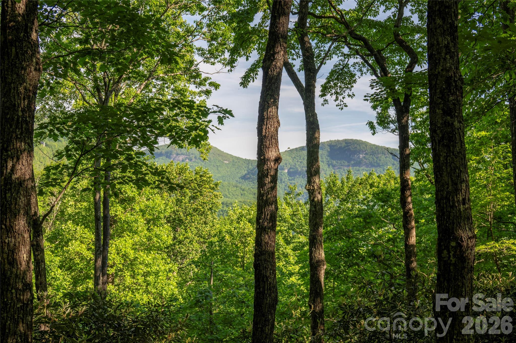 Lot at TM I 33 Toxaway Drive, Lake Toxaway, photo 4 of 12