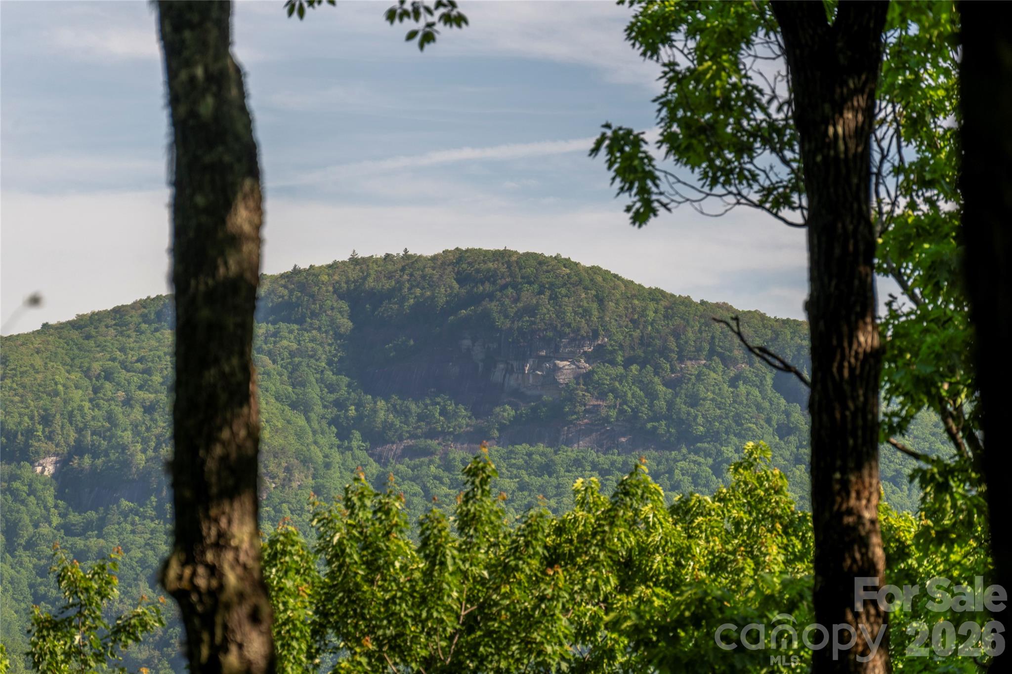 Lot at TM I 33 Toxaway Drive, Lake Toxaway, photo 5 of 12