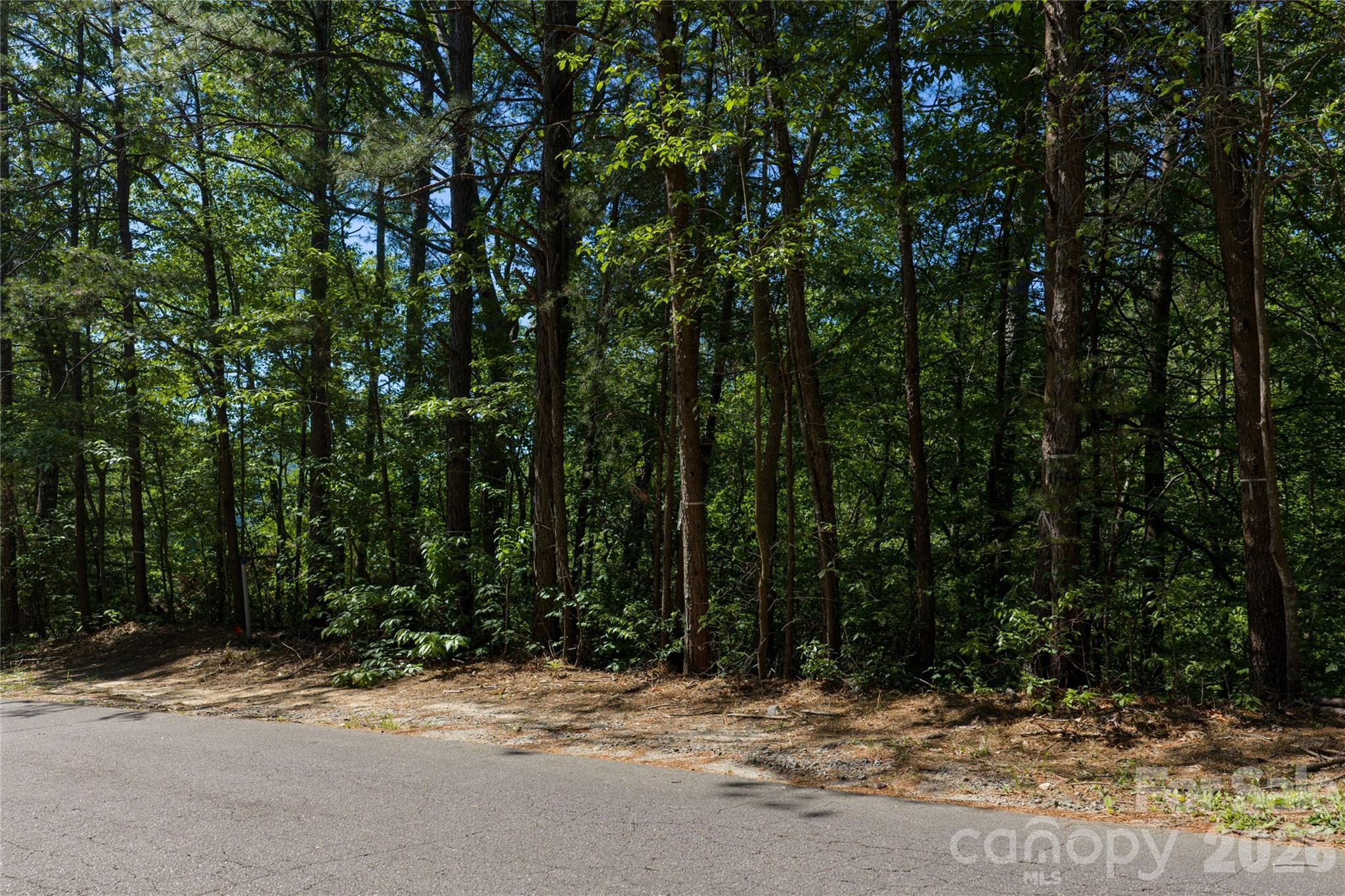 View from top of lot - 9999 Dogwood Drive, Lake Lure