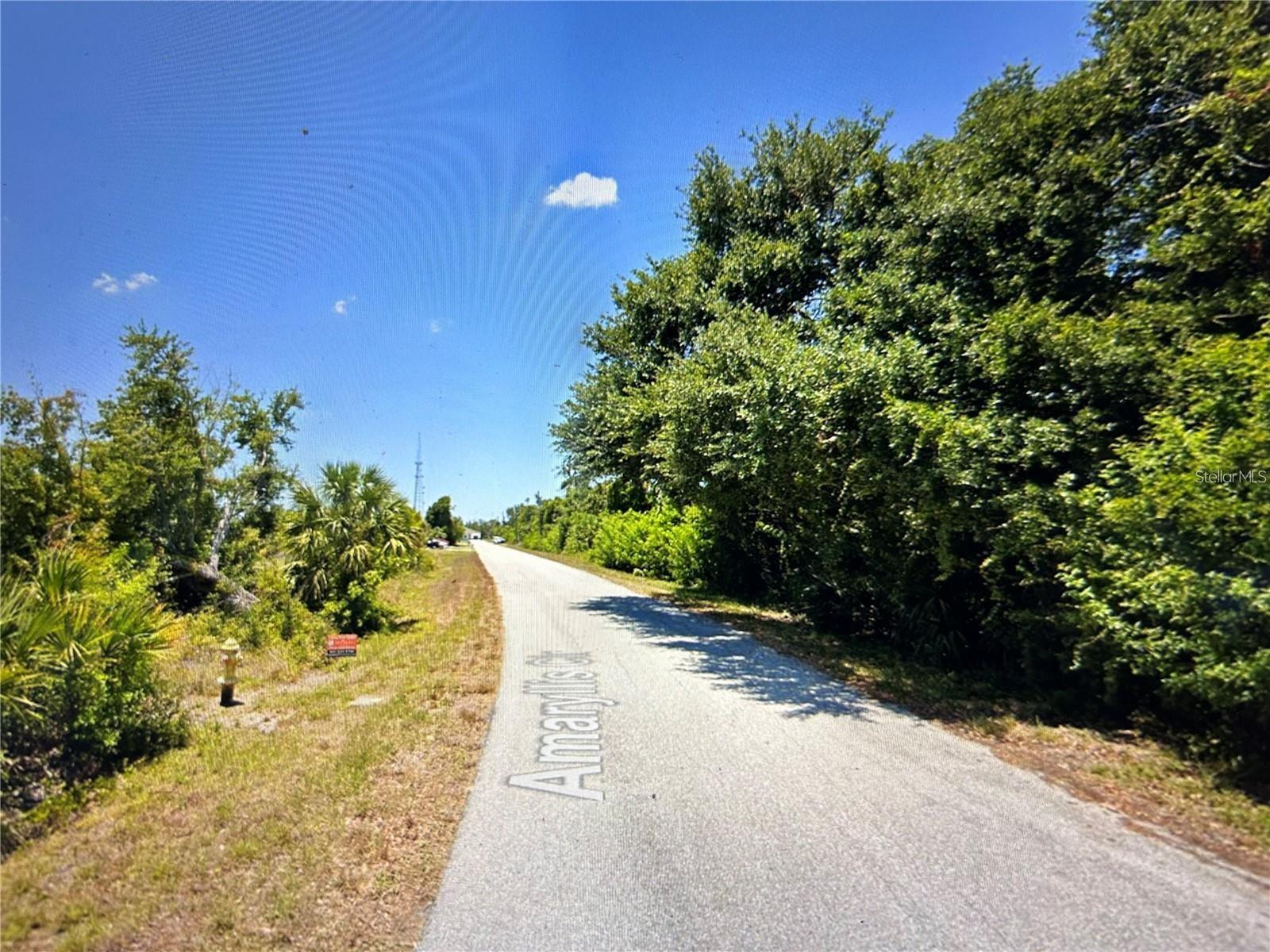 Land at 13357 AMARYLLIS CIR, PORT CHARLOTTE, photo 2 of 10