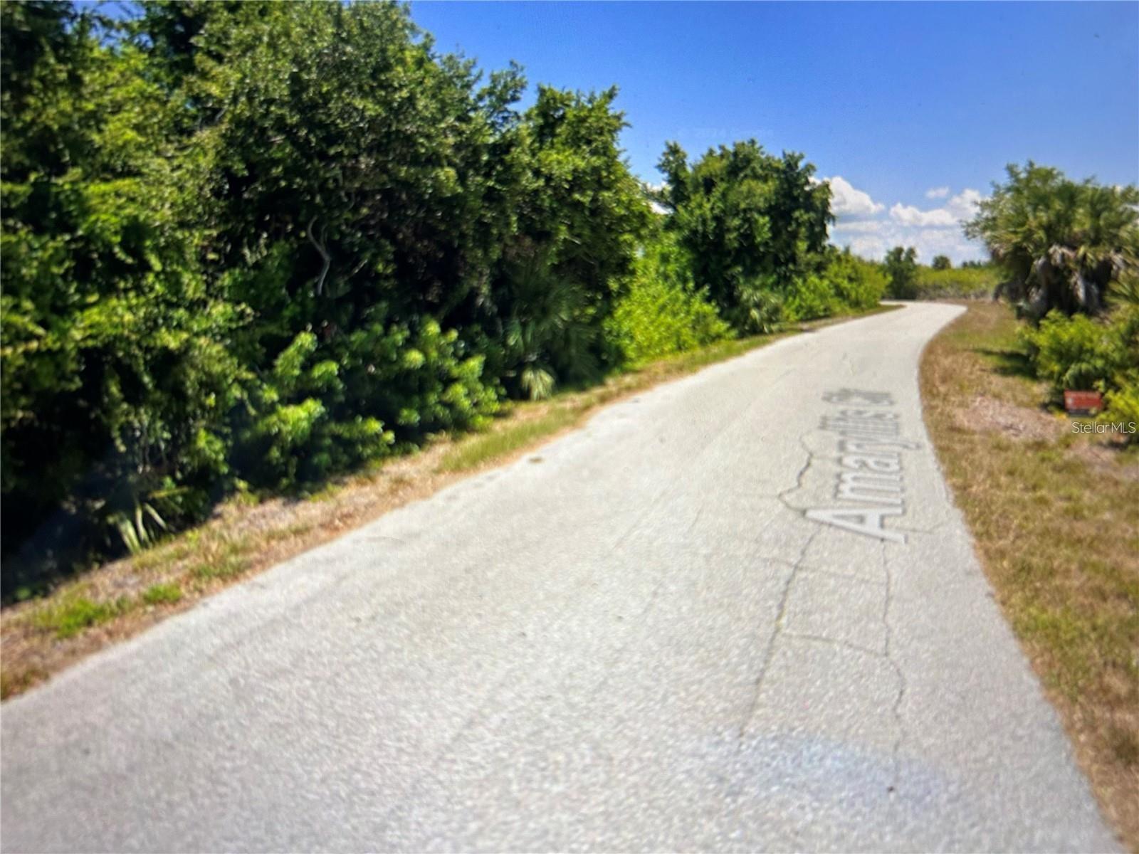 Land at 13357 AMARYLLIS CIR, PORT CHARLOTTE, photo 3 of 10