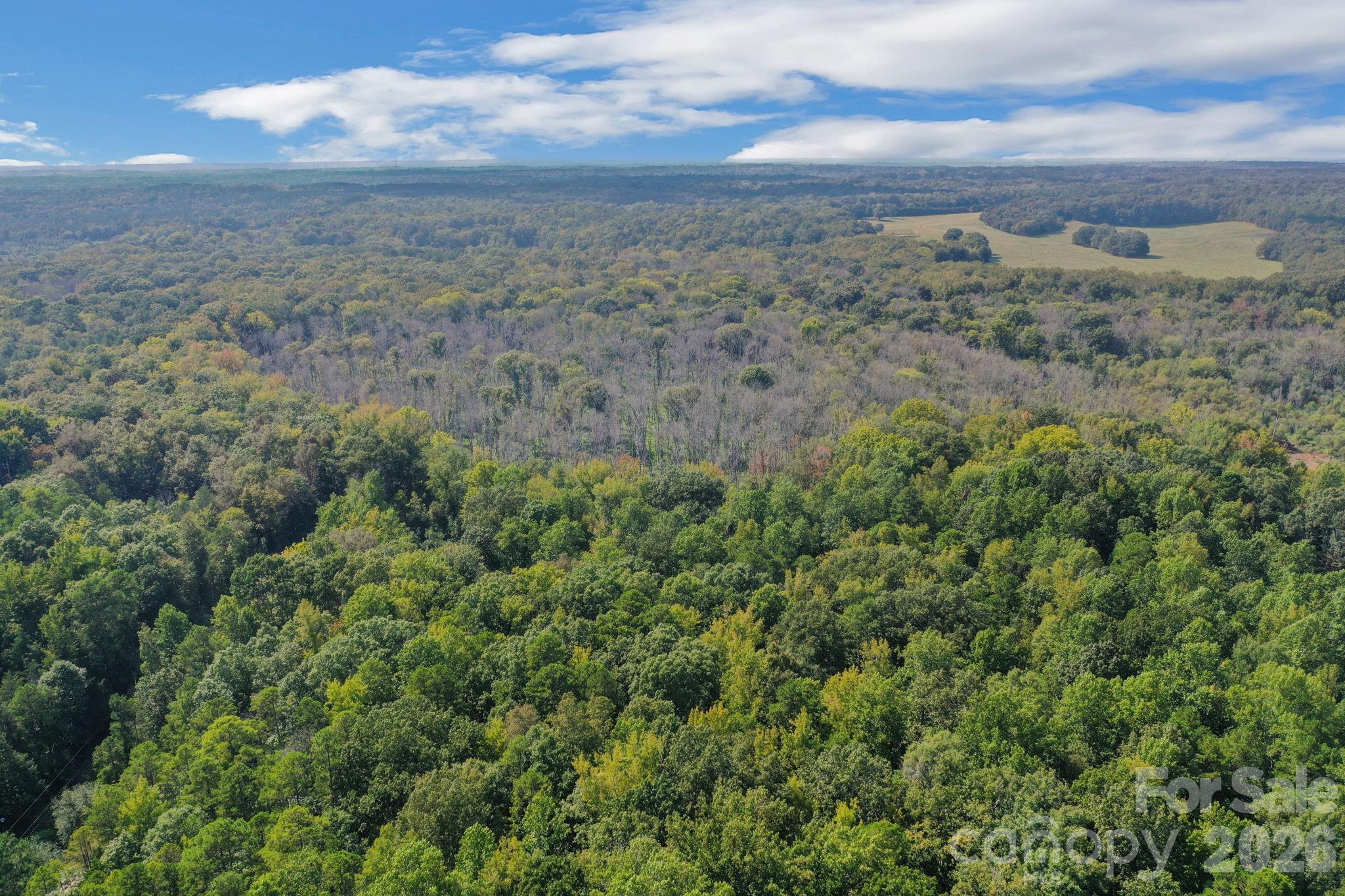 Acreage at 00 Stonehenge Court, Waxhaw, photo 3 of 25