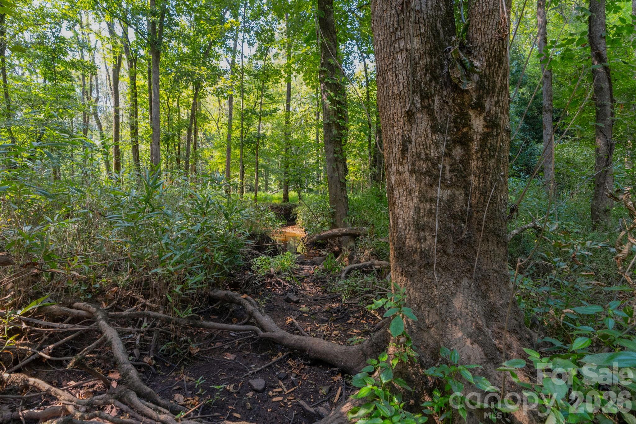 Acreage at 00 Stonehenge Court, Waxhaw, photo 5 of 25