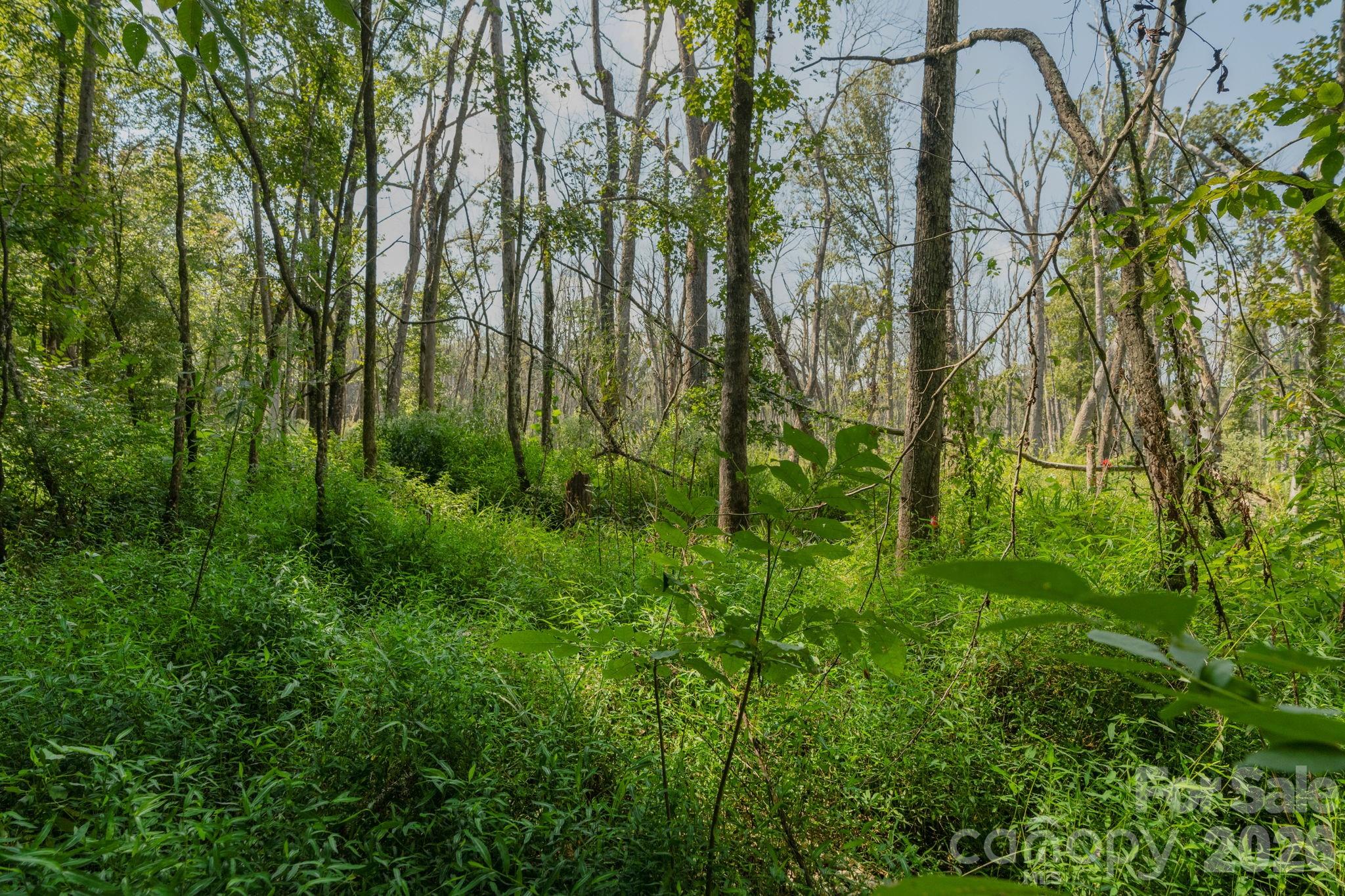 Acreage at 00 Stonehenge Court, Waxhaw, photo 7 of 25